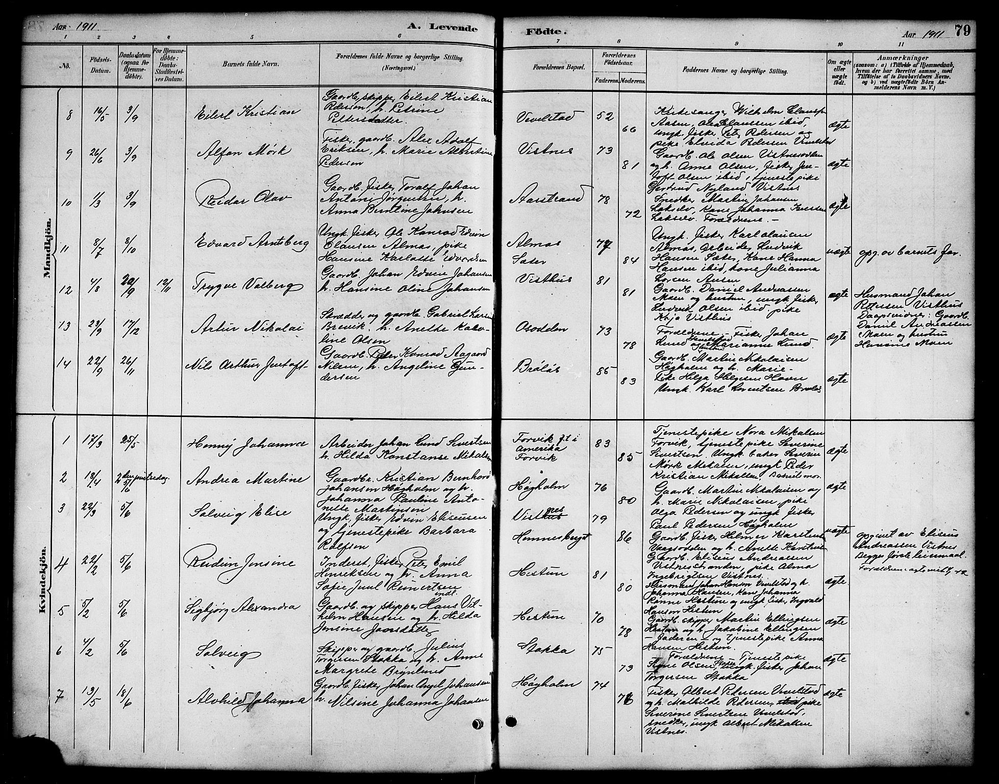 Ministerialprotokoller, klokkerbøker og fødselsregistre - Nordland, AV/SAT-A-1459/819/L0277: Parish register (copy) no. 819C03, 1888-1917, p. 79