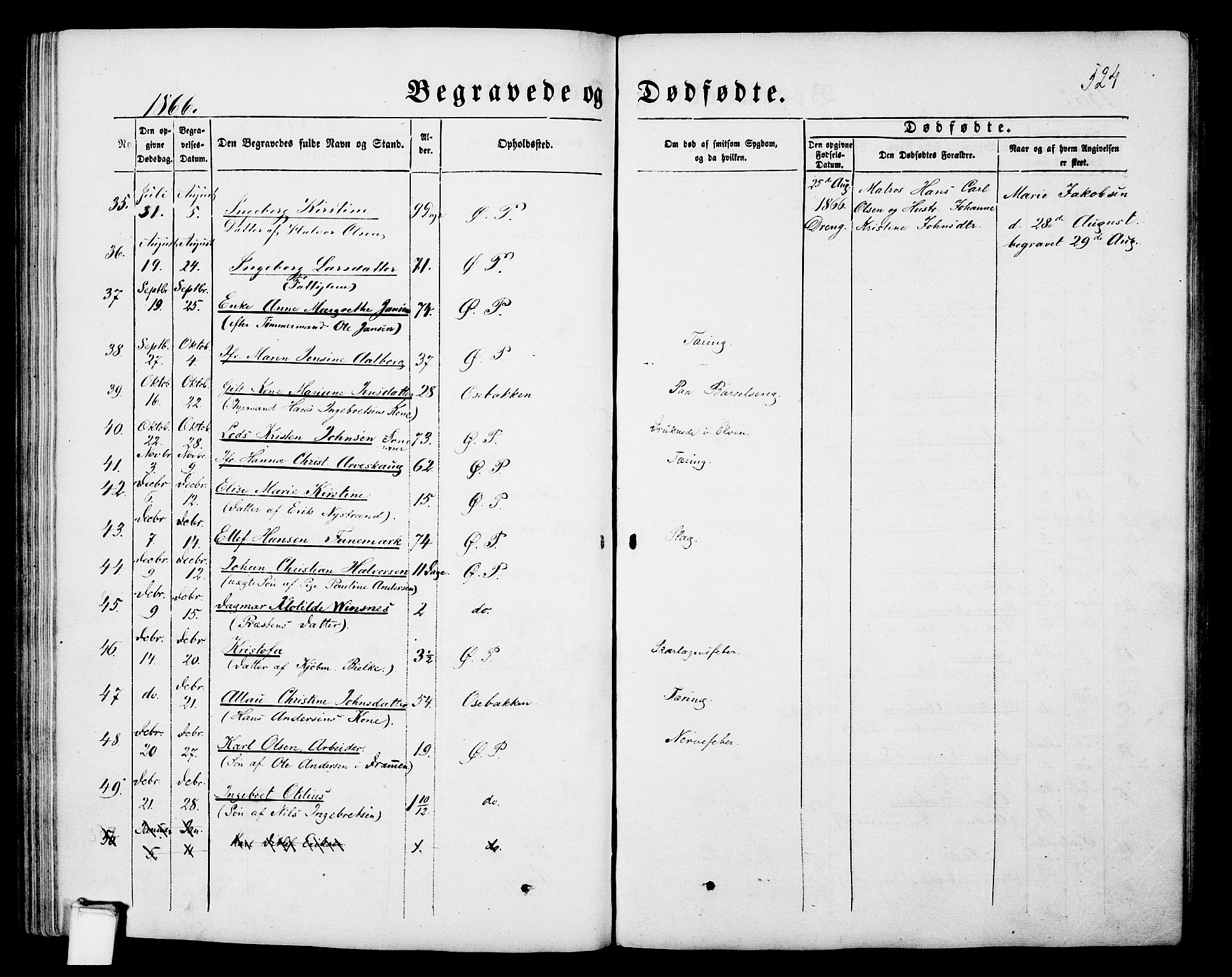 Porsgrunn kirkebøker , SAKO/A-104/G/Gb/L0004: Parish register (copy) no. II 4, 1853-1882, p. 524