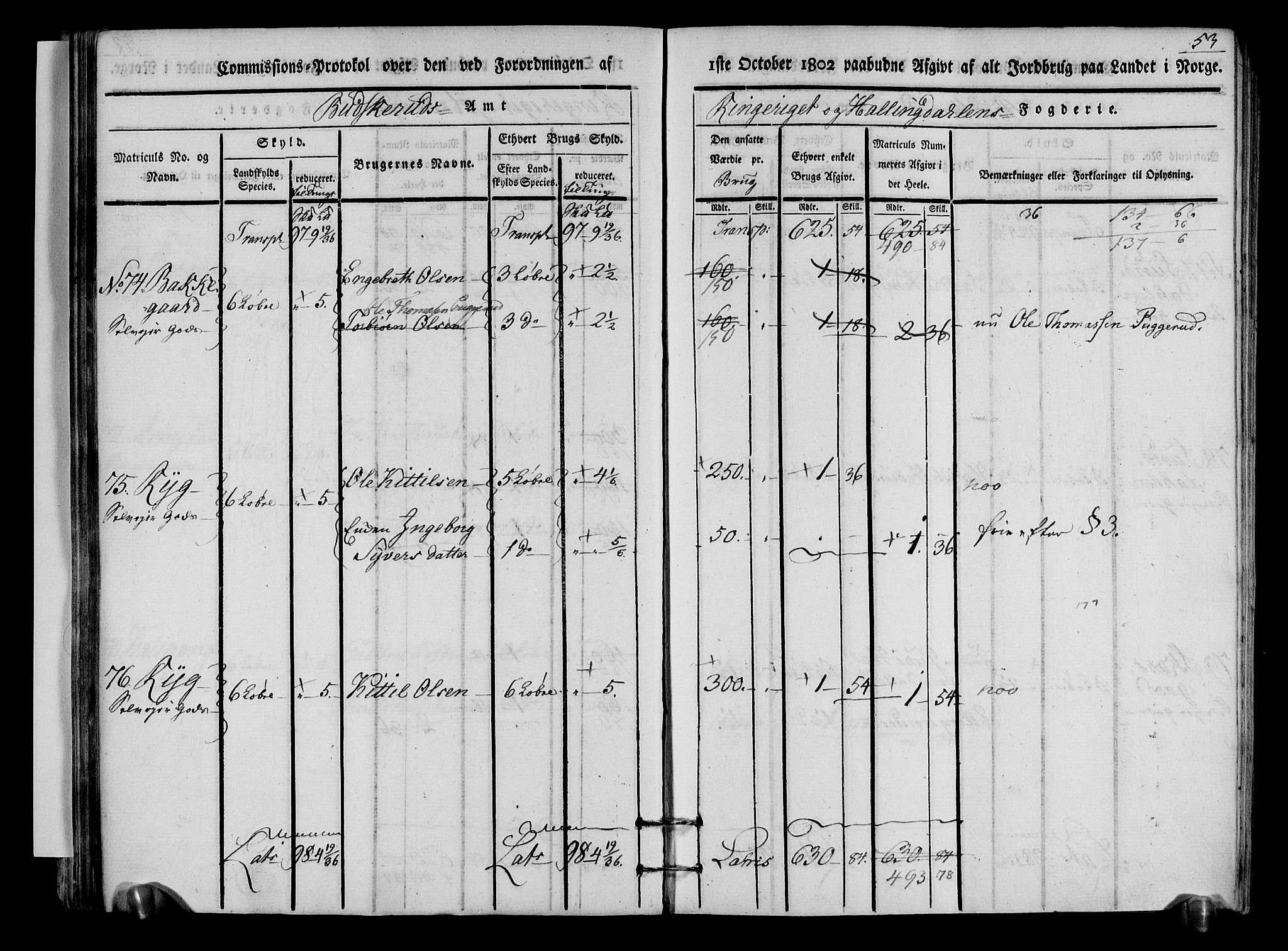 Rentekammeret inntil 1814, Realistisk ordnet avdeling, AV/RA-EA-4070/N/Ne/Nea/L0048: Ringerike og Hallingdal fogderi. Kommisjonsprotokoll for Ål prestegjeld, 1803, p. 56