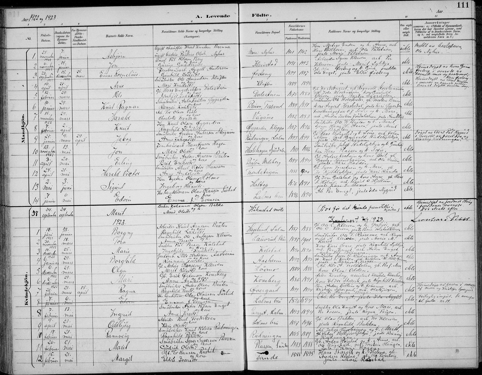 Vågå prestekontor, AV/SAH-PREST-076/H/Ha/Hab/L0002: Parish register (copy) no. 2, 1894-1939, p. 111