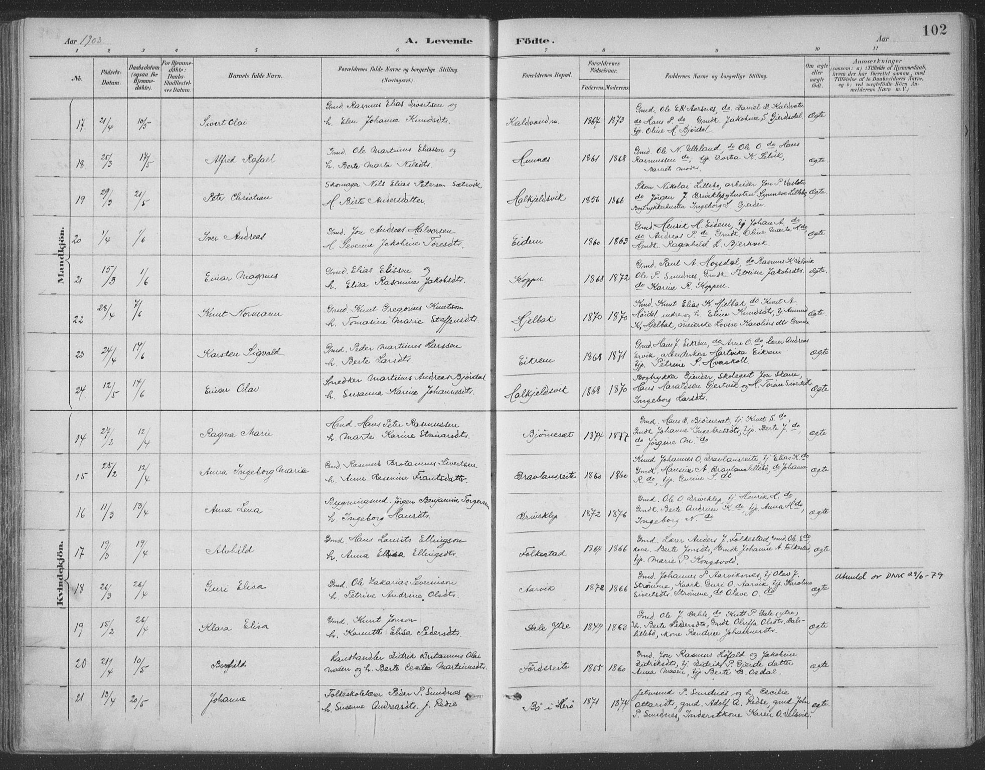 Ministerialprotokoller, klokkerbøker og fødselsregistre - Møre og Romsdal, AV/SAT-A-1454/511/L0142: Parish register (official) no. 511A09, 1891-1905, p. 102