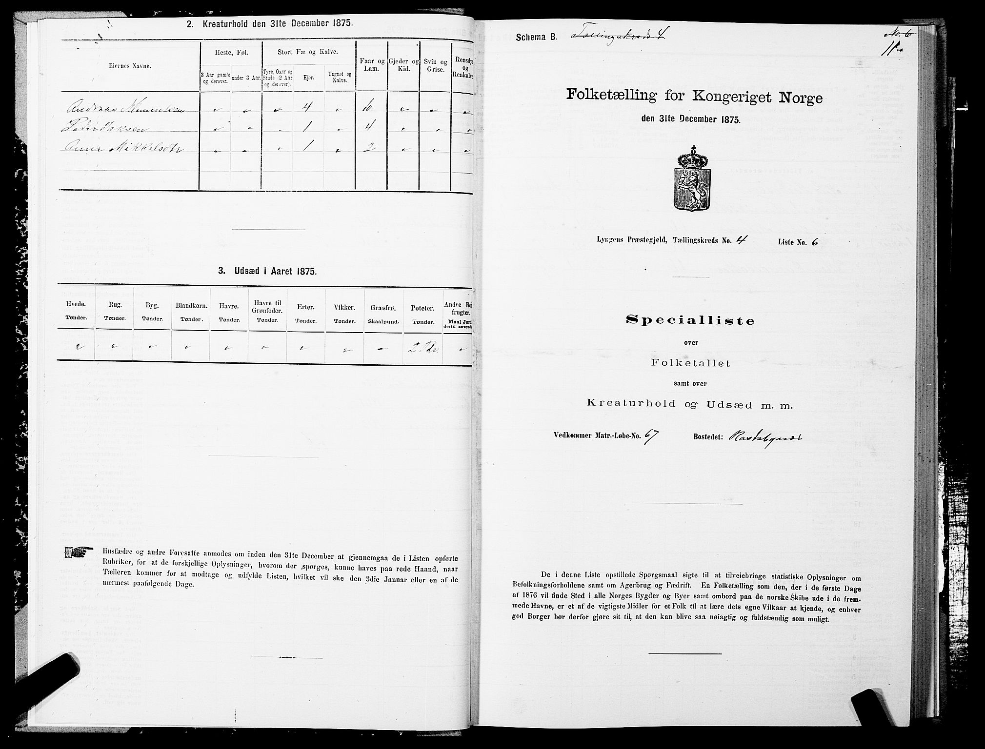 SATØ, 1875 census for 1938P Lyngen, 1875, p. 4011