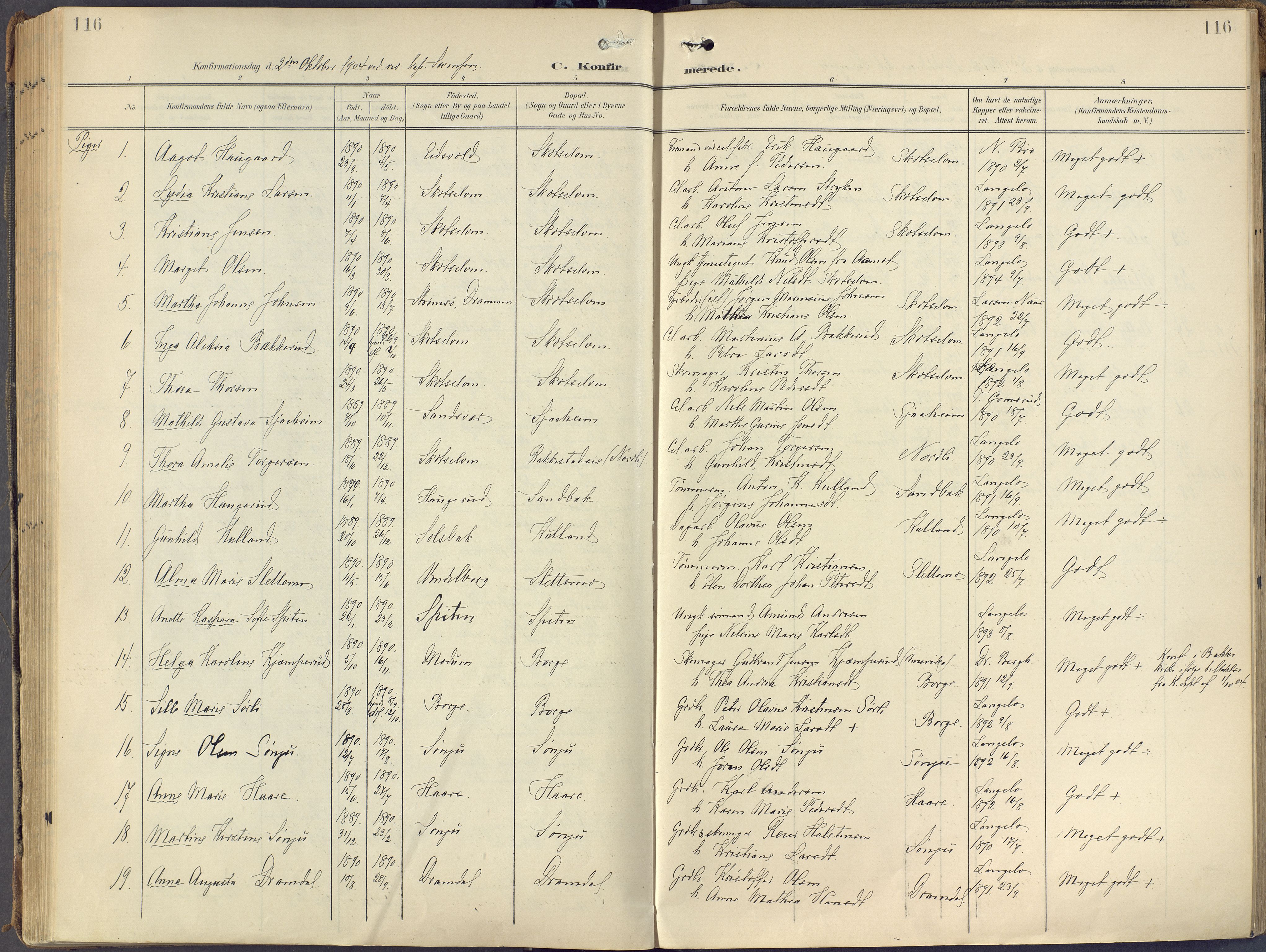 Eiker kirkebøker, AV/SAKO-A-4/F/Fc/L0004: Parish register (official) no. III 4, 1900-1919, p. 116