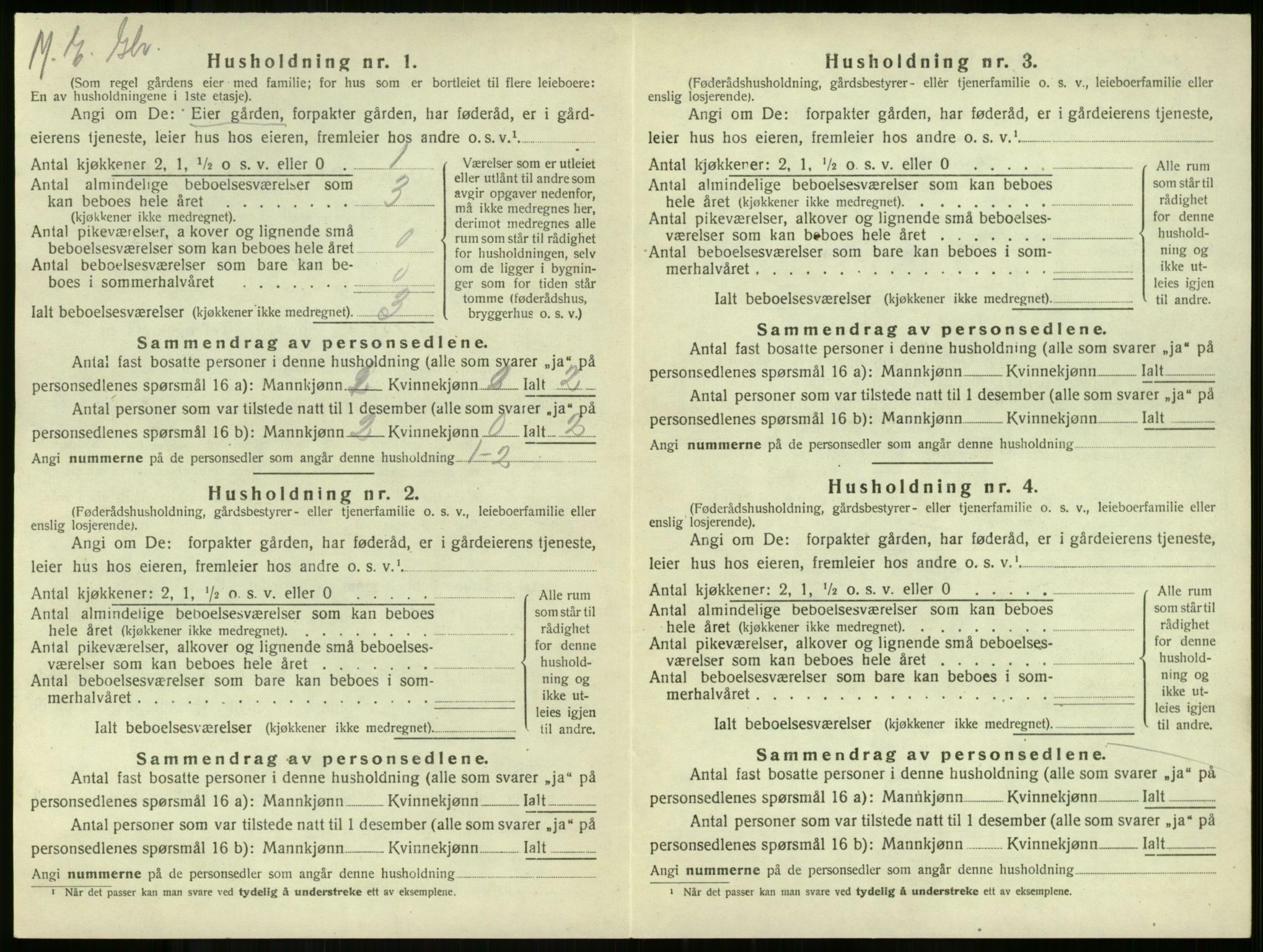 SAKO, 1920 census for Borre, 1920, p. 978