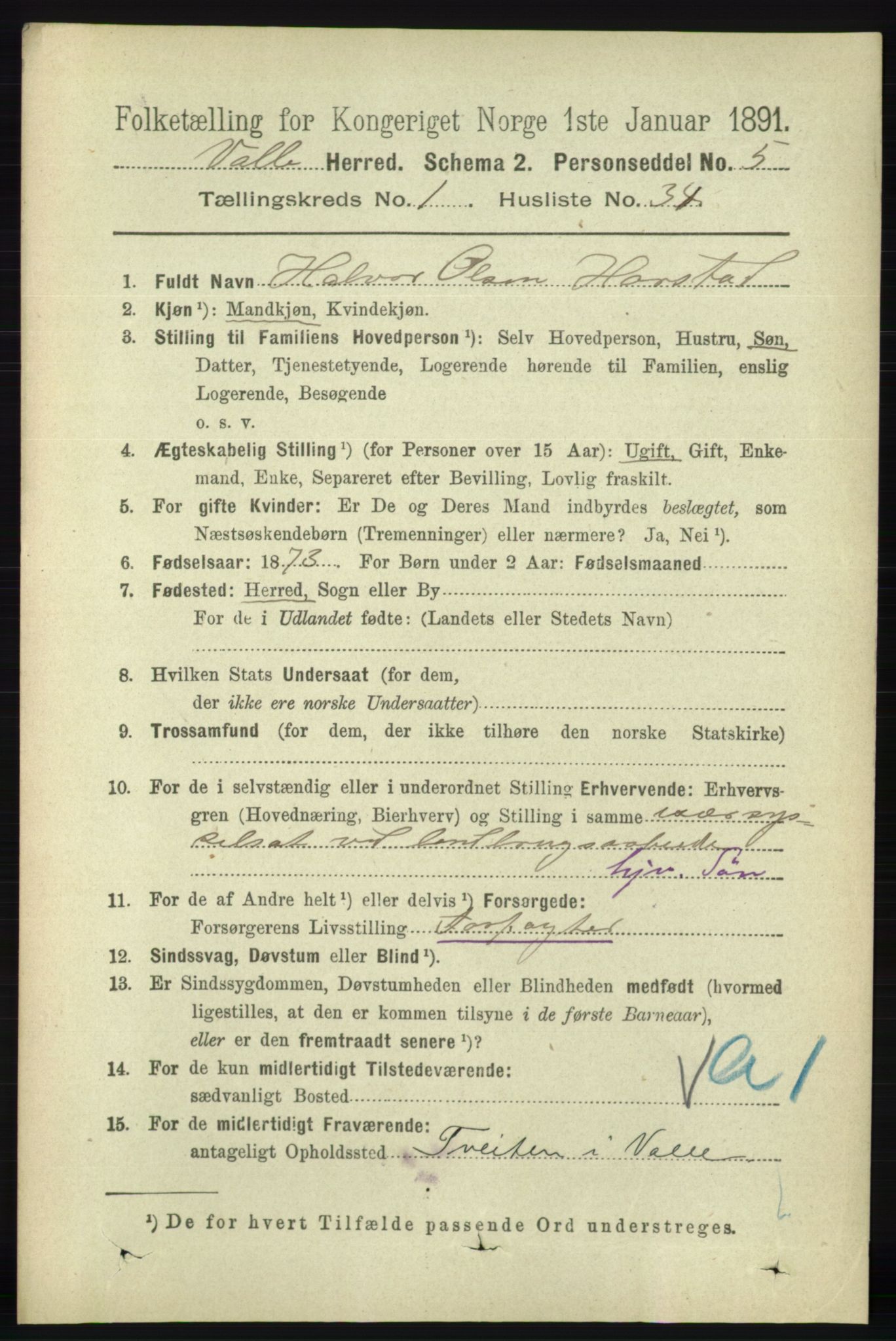 RA, 1891 census for 0940 Valle, 1891, p. 310