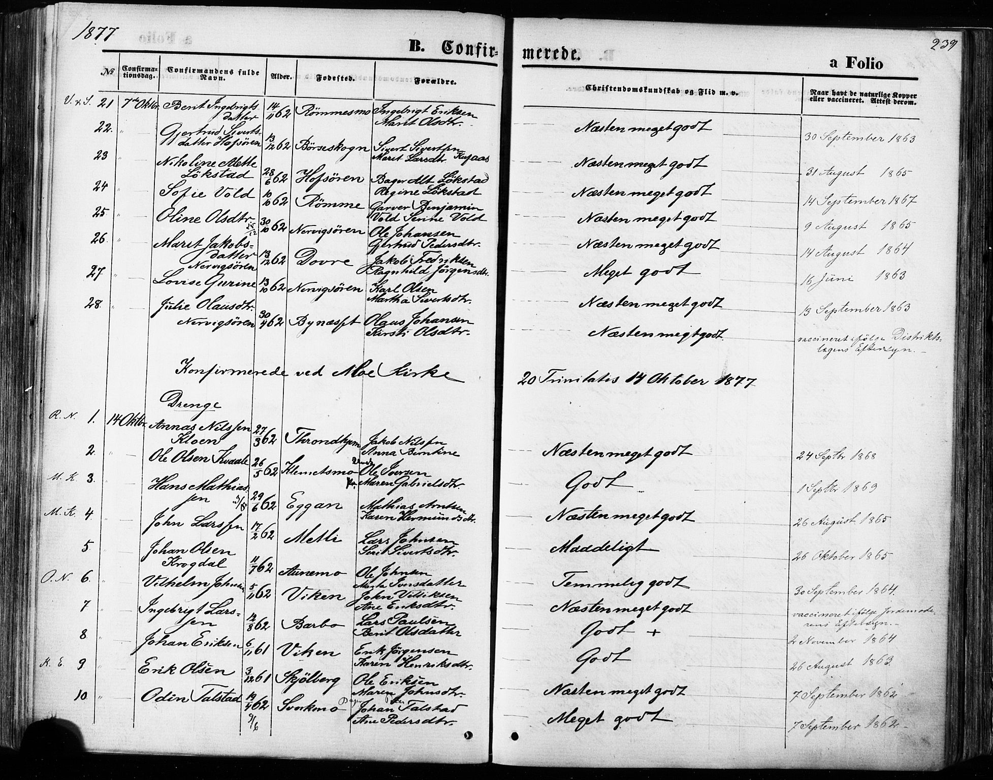 Ministerialprotokoller, klokkerbøker og fødselsregistre - Sør-Trøndelag, AV/SAT-A-1456/668/L0807: Parish register (official) no. 668A07, 1870-1880, p. 239