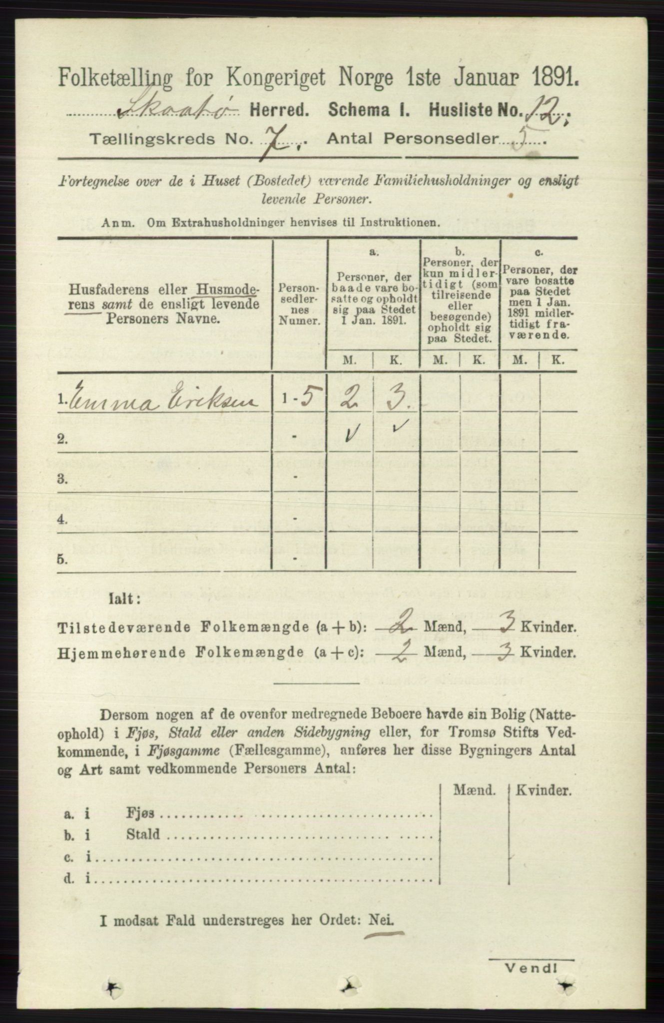 RA, 1891 census for 0815 Skåtøy, 1891, p. 3009