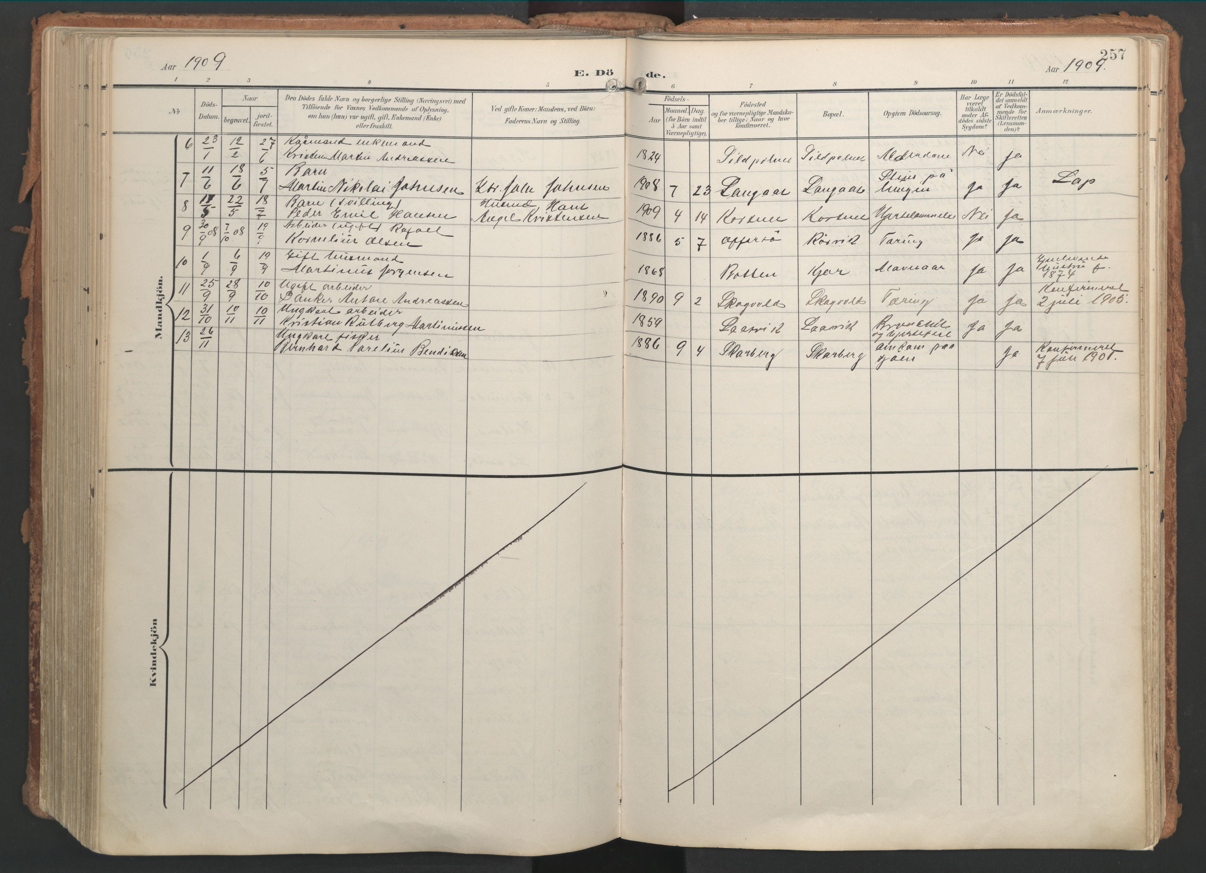 Ministerialprotokoller, klokkerbøker og fødselsregistre - Nordland, AV/SAT-A-1459/861/L0871: Parish register (official) no. 861A06, 1903-1916, p. 257