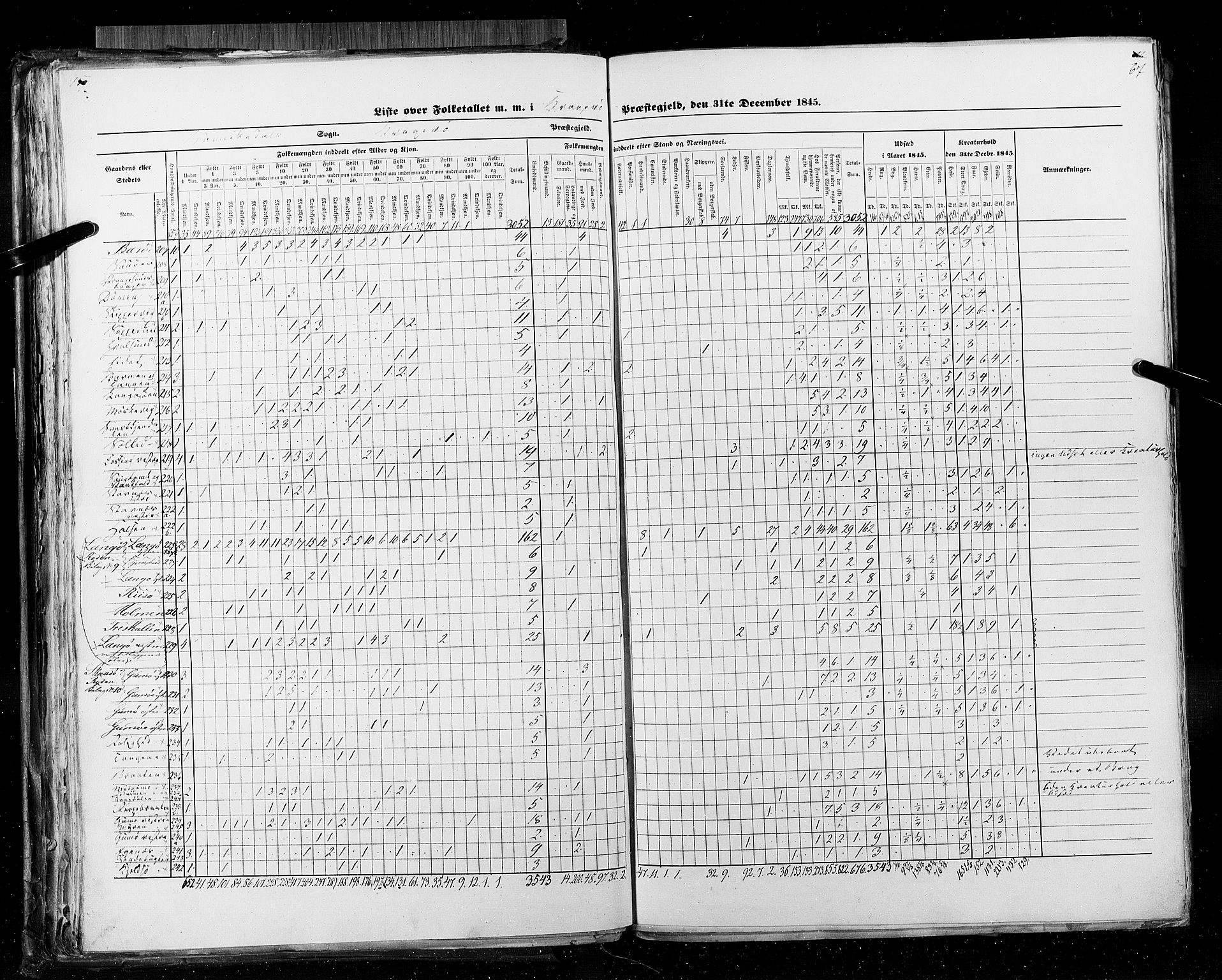 RA, Census 1845, vol. 5: Bratsberg amt og Nedenes og Råbyggelaget amt, 1845, p. 67