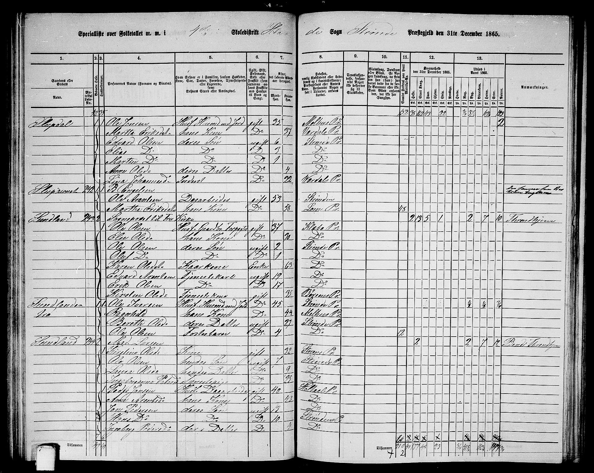 RA, 1865 census for Strinda, 1865, p. 109