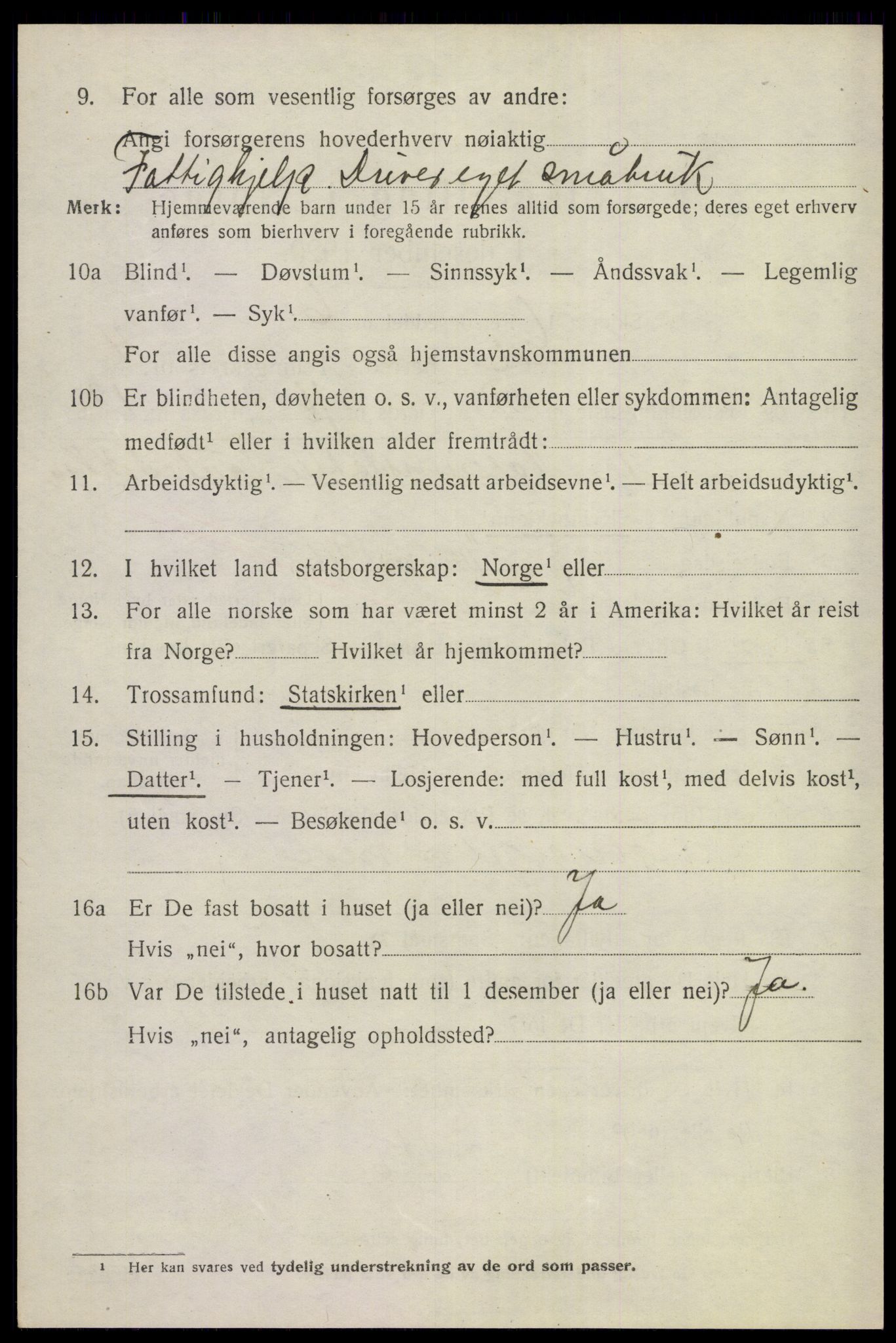 SAKO, 1920 census for Gol, 1920, p. 3529