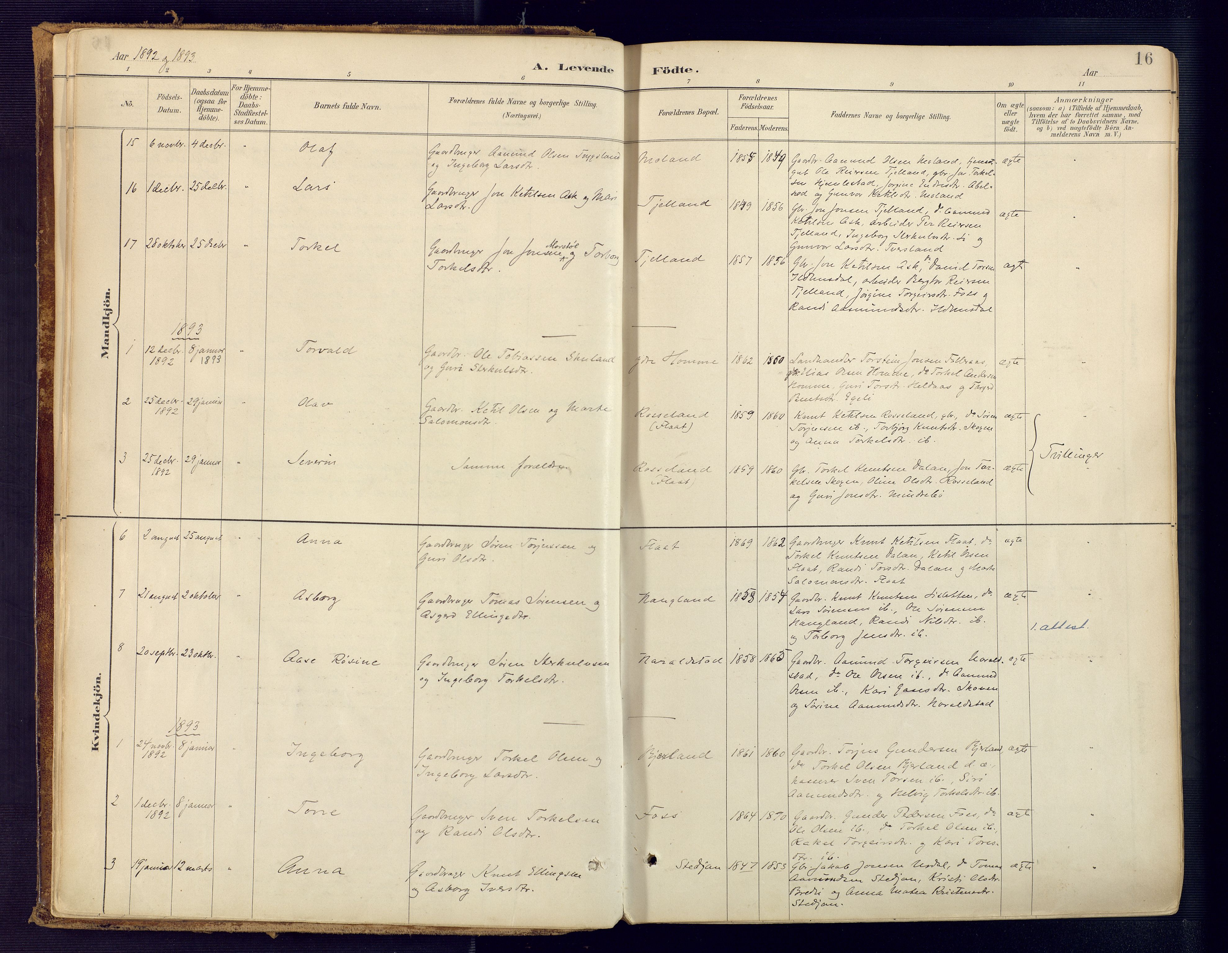 Bjelland sokneprestkontor, SAK/1111-0005/F/Fa/Faa/L0004: Parish register (official) no. A 4, 1887-1923, p. 16
