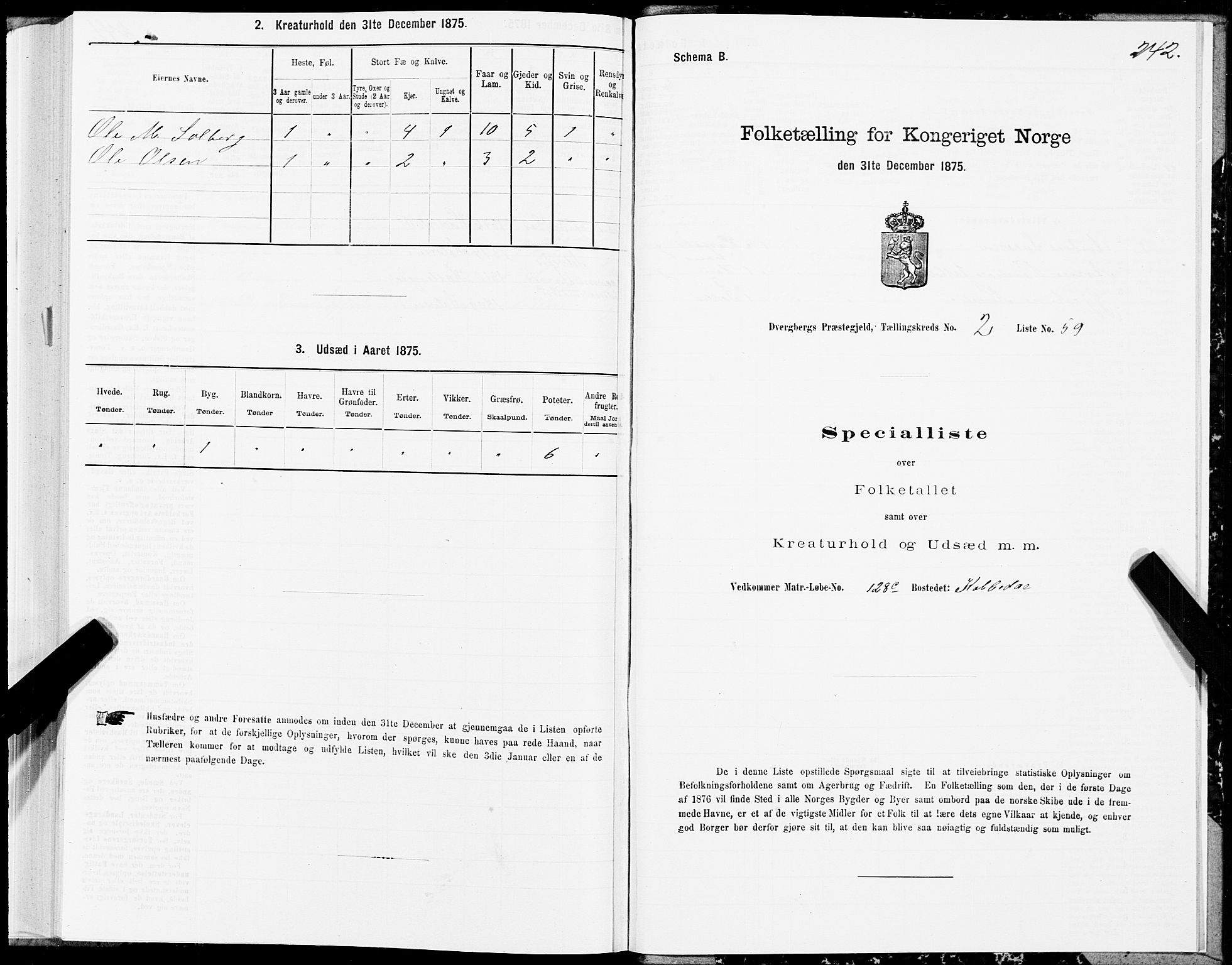 SAT, 1875 census for 1872P Dverberg, 1875, p. 1242