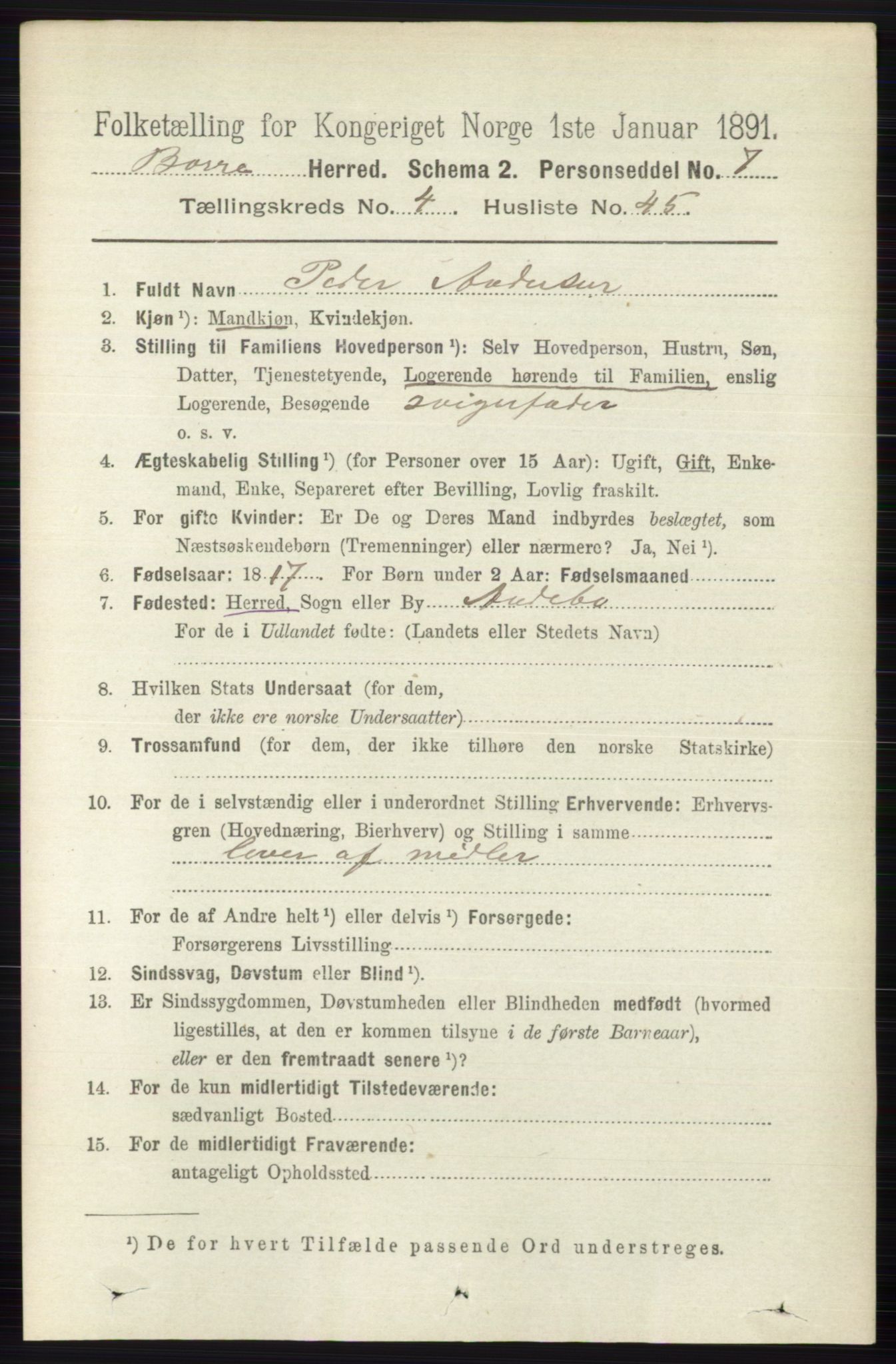 RA, 1891 census for 0717 Borre, 1891, p. 1911