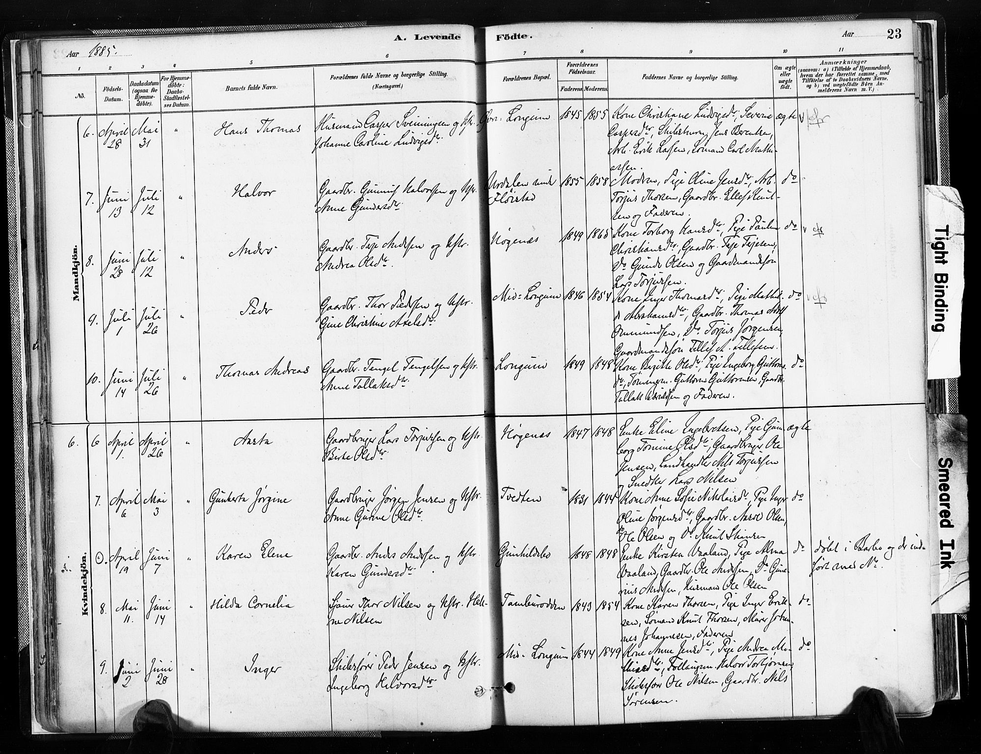 Austre Moland sokneprestkontor, SAK/1111-0001/F/Fa/Faa/L0010: Parish register (official) no. A 10, 1880-1904, p. 23
