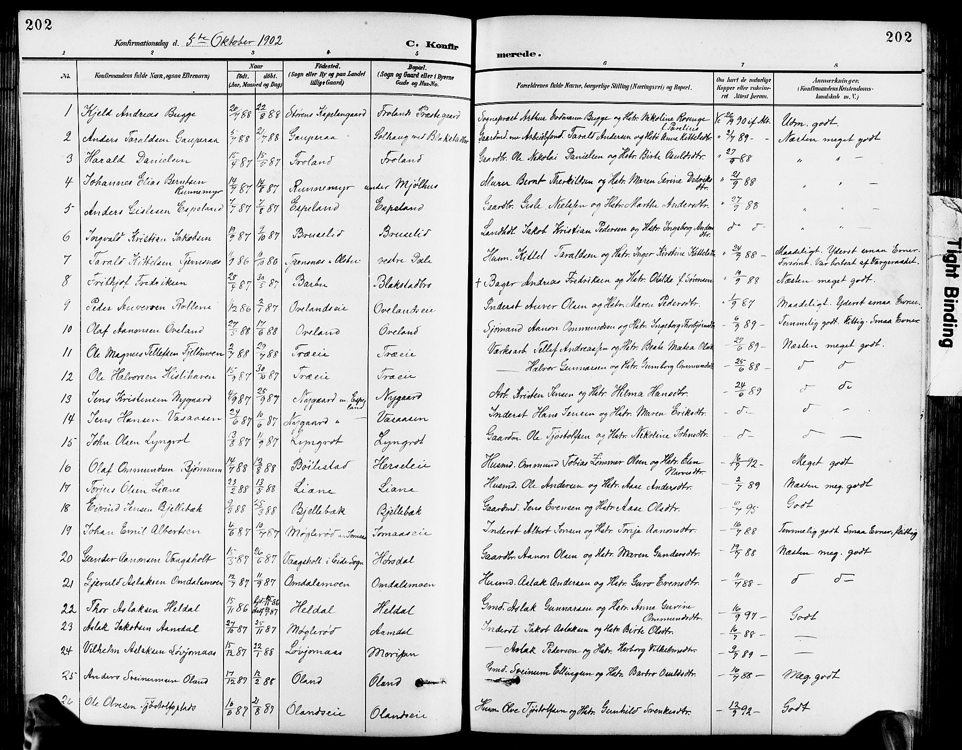 Froland sokneprestkontor, SAK/1111-0013/F/Fb/L0010: Parish register (copy) no. B 10, 1893-1920, p. 202