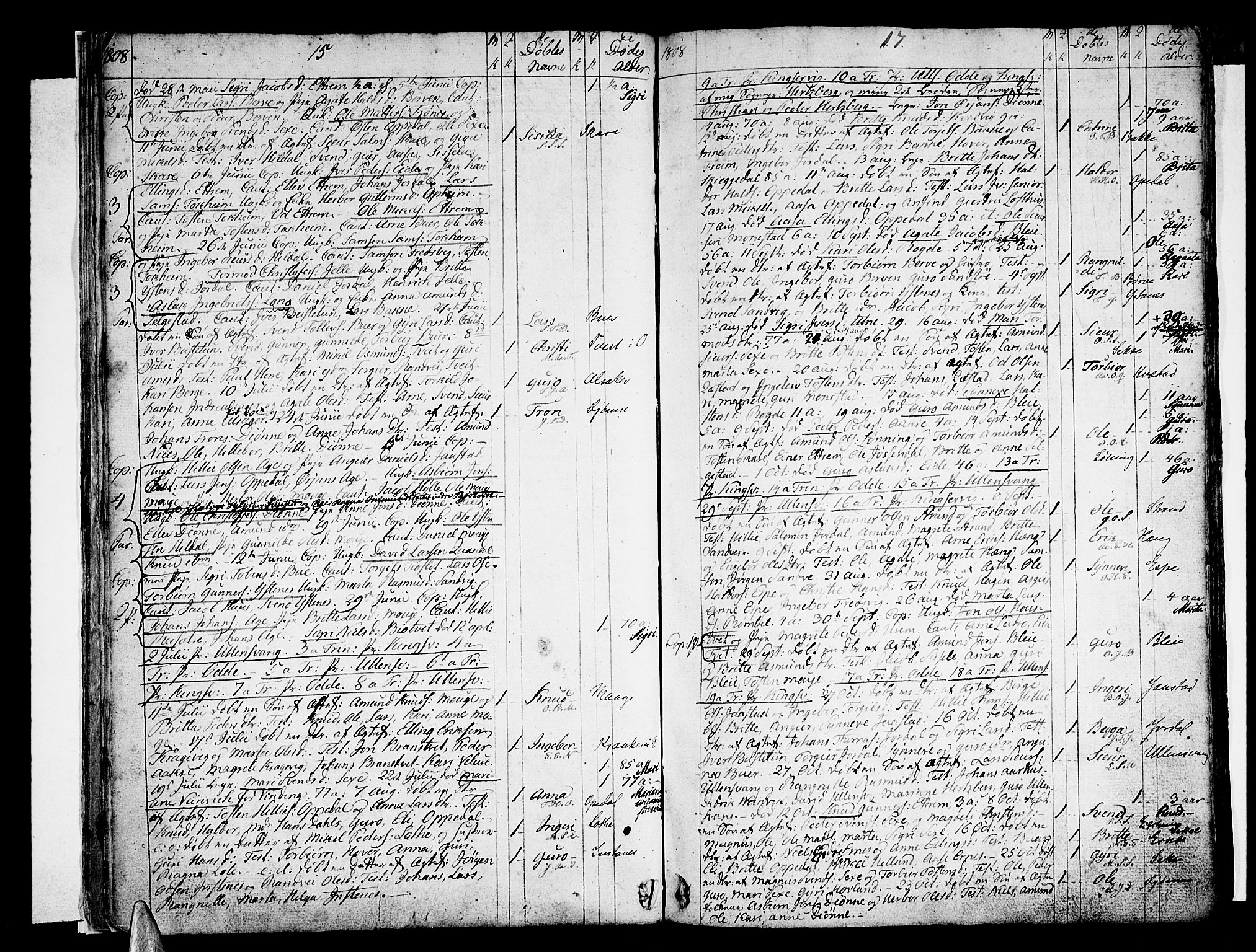 Ullensvang sokneprestembete, AV/SAB-A-78701/H/Haa: Parish register (official) no. A 8, 1804-1835, p. 17