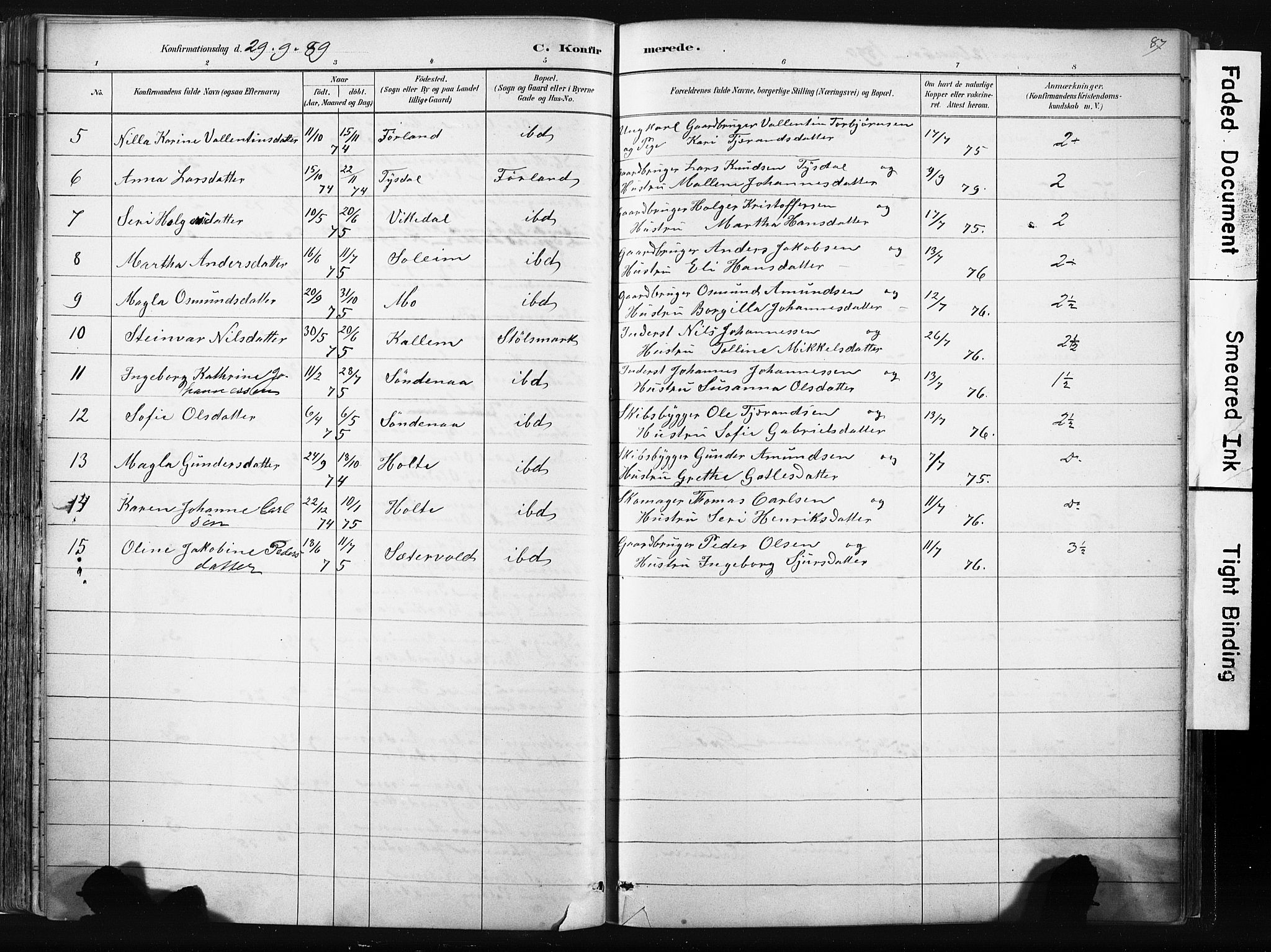 Vikedal sokneprestkontor, AV/SAST-A-101840/01/IV: Parish register (official) no. A 10, 1884-1907, p. 87