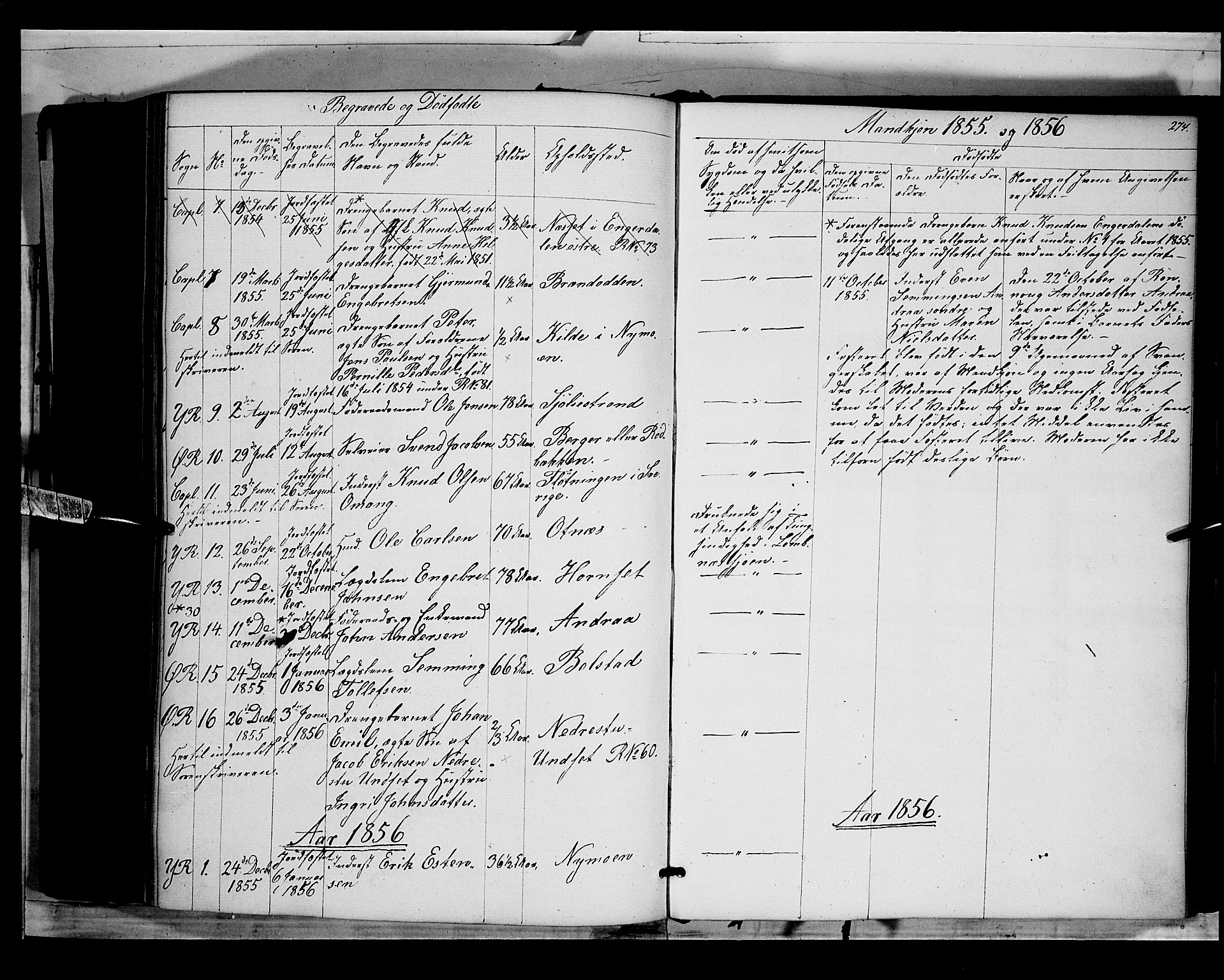 Rendalen prestekontor, SAH/PREST-054/H/Ha/Haa/L0005: Parish register (official) no. 5, 1853-1866, p. 274