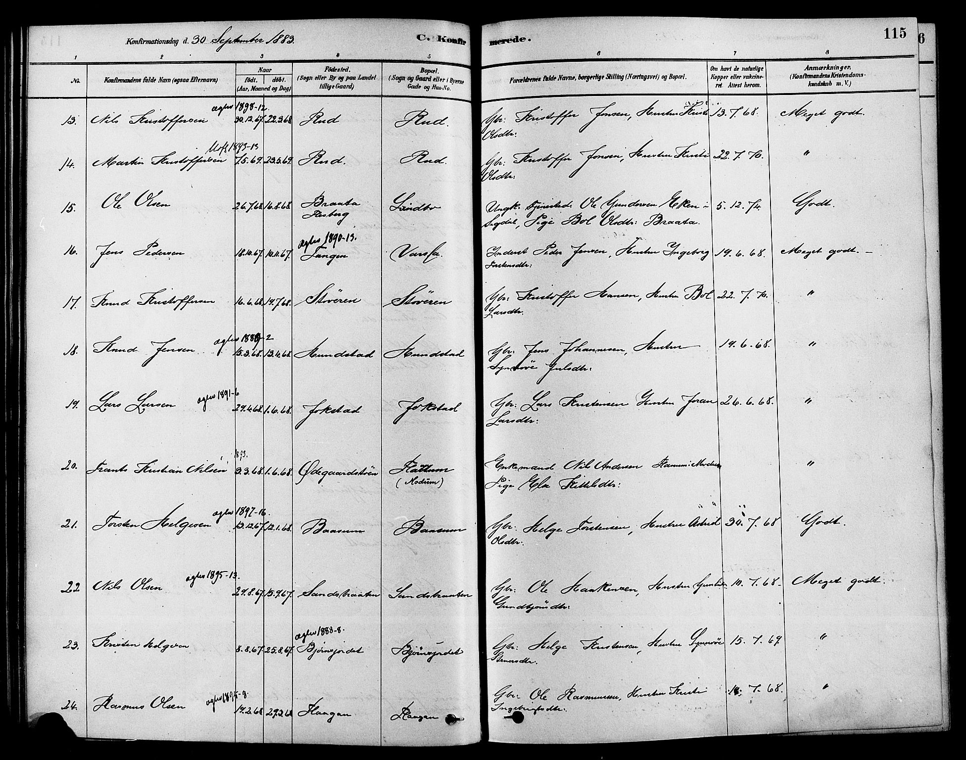 Sigdal kirkebøker, SAKO/A-245/F/Fa/L0011: Parish register (official) no. I 11, 1879-1887, p. 115