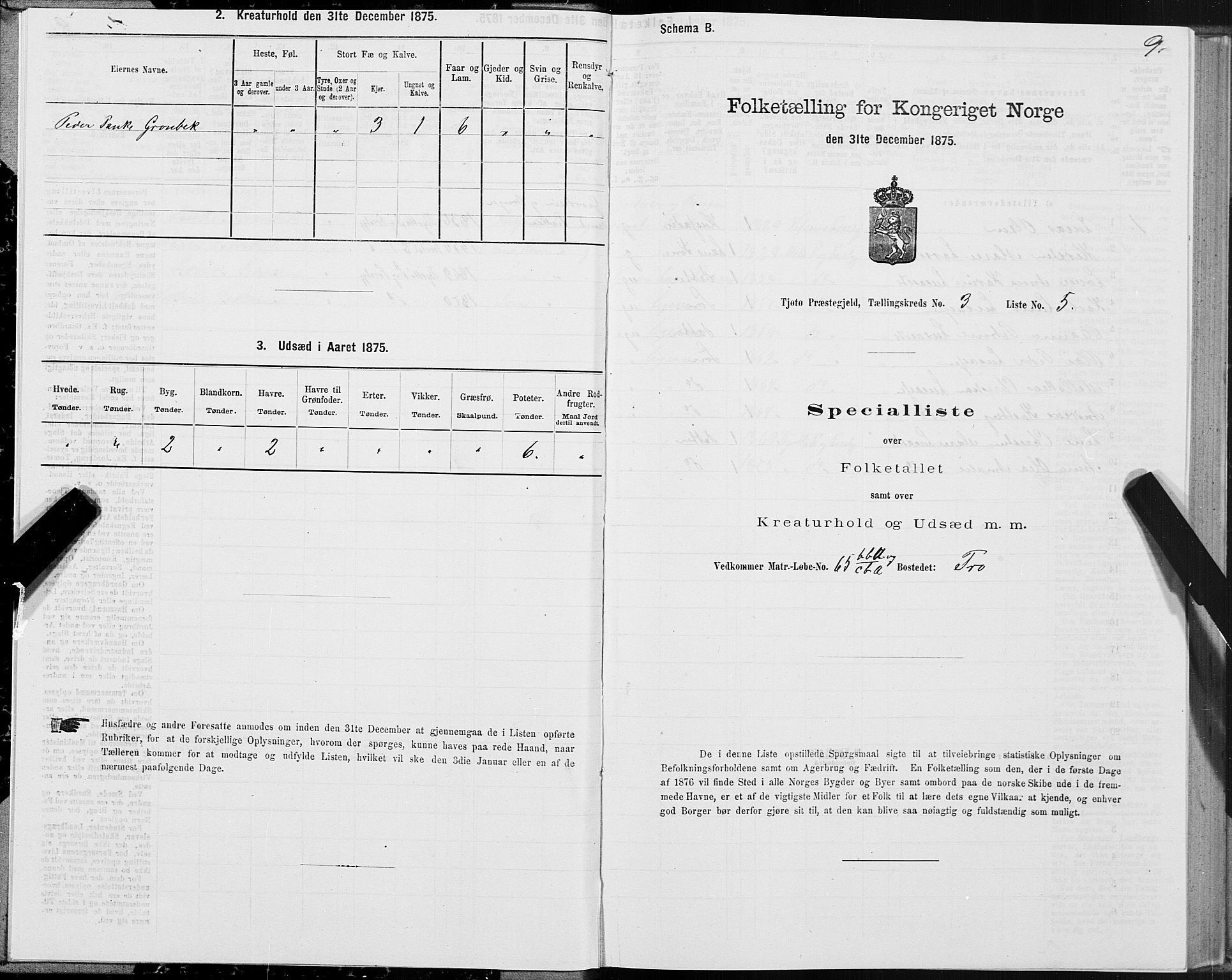 SAT, 1875 census for 1817P Tjøtta, 1875, p. 2009