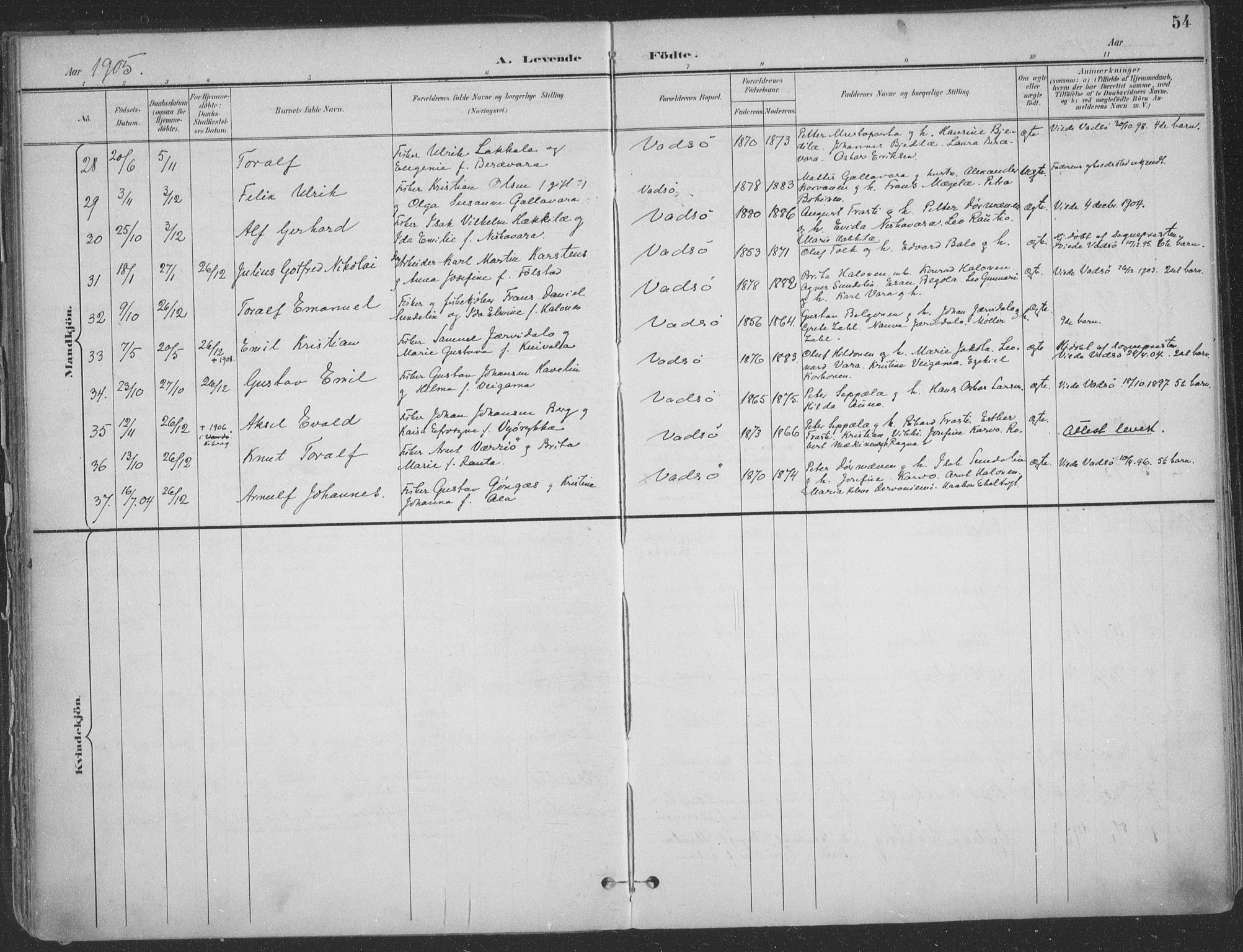 Vadsø sokneprestkontor, AV/SATØ-S-1325/H/Ha/L0007kirke: Parish register (official) no. 7, 1896-1916, p. 54