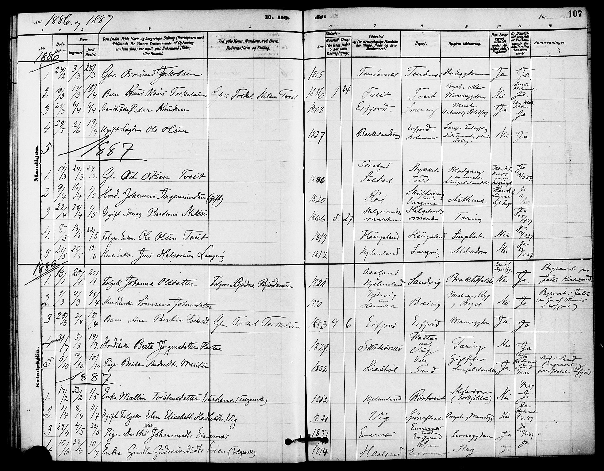 Jelsa sokneprestkontor, AV/SAST-A-101842/01/IV: Parish register (official) no. A 9, 1878-1898, p. 107