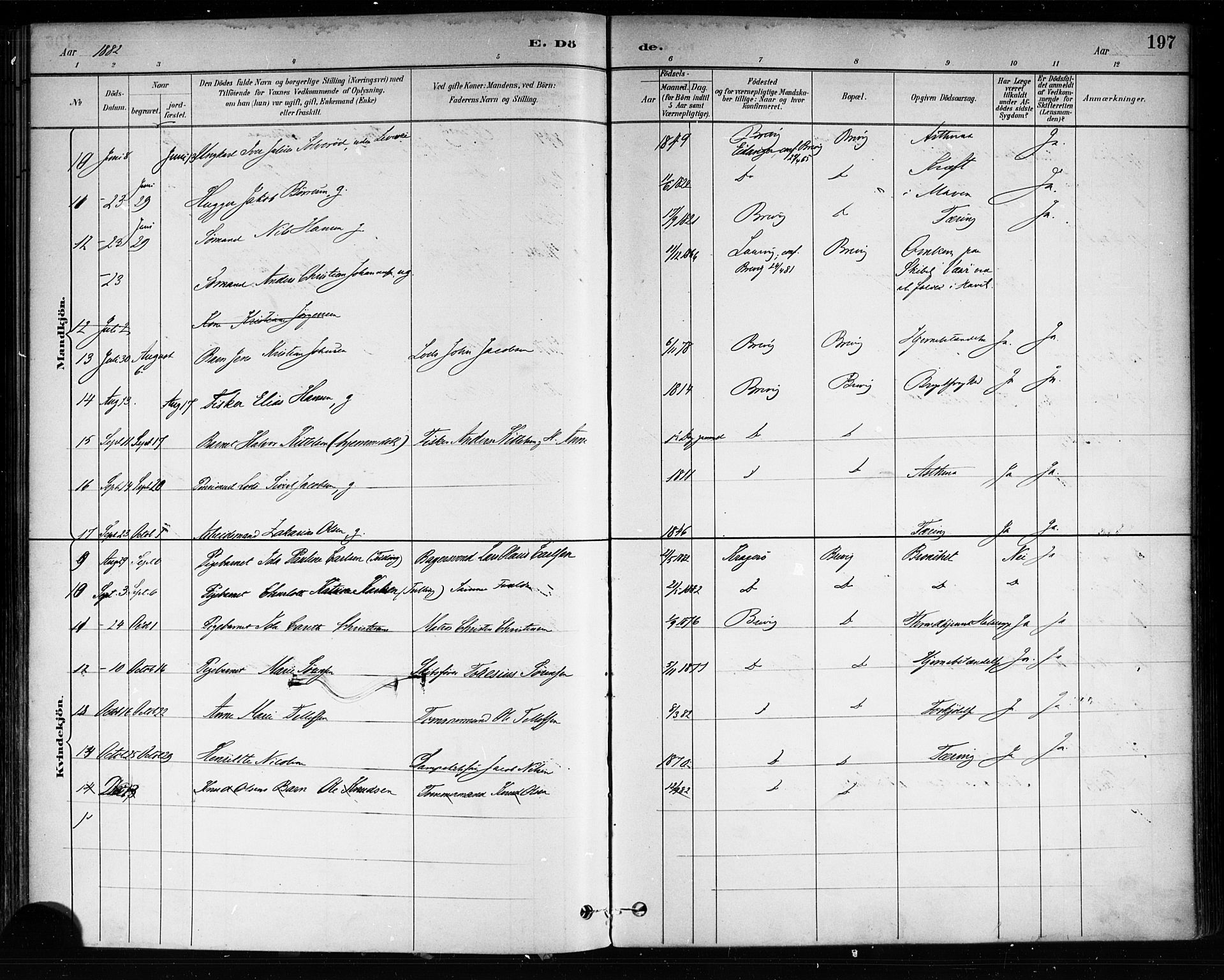 Brevik kirkebøker, SAKO/A-255/F/Fa/L0007: Parish register (official) no. 7, 1882-1900, p. 197
