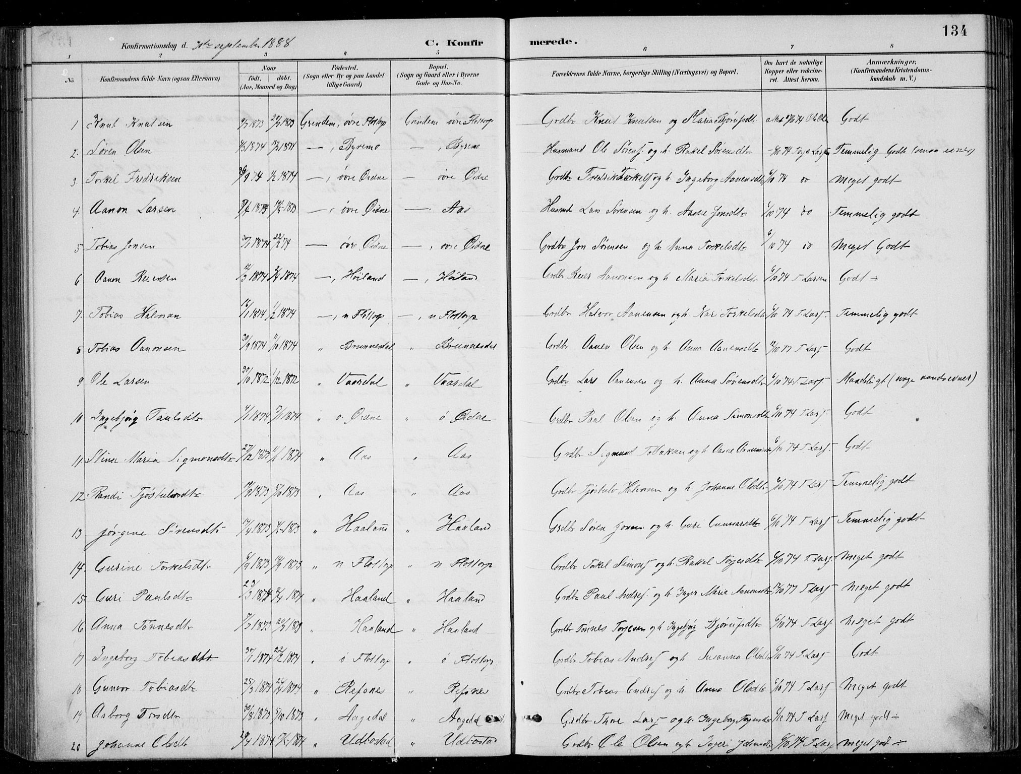 Bjelland sokneprestkontor, SAK/1111-0005/F/Fb/Fbc/L0003: Parish register (copy) no. B 3, 1887-1924, p. 134