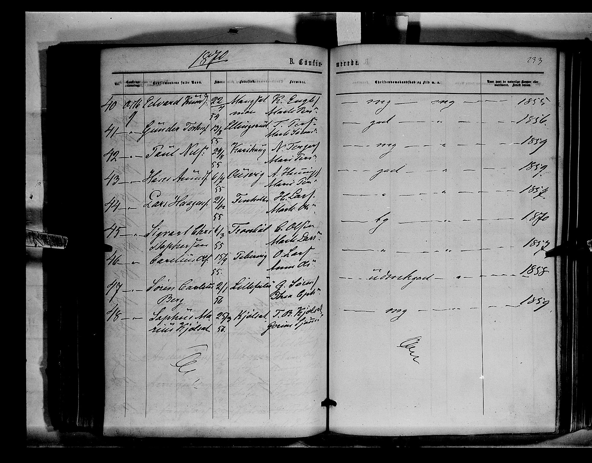 Sør-Odal prestekontor, AV/SAH-PREST-030/H/Ha/Haa/L0003: Parish register (official) no. 3, 1864-1870, p. 233