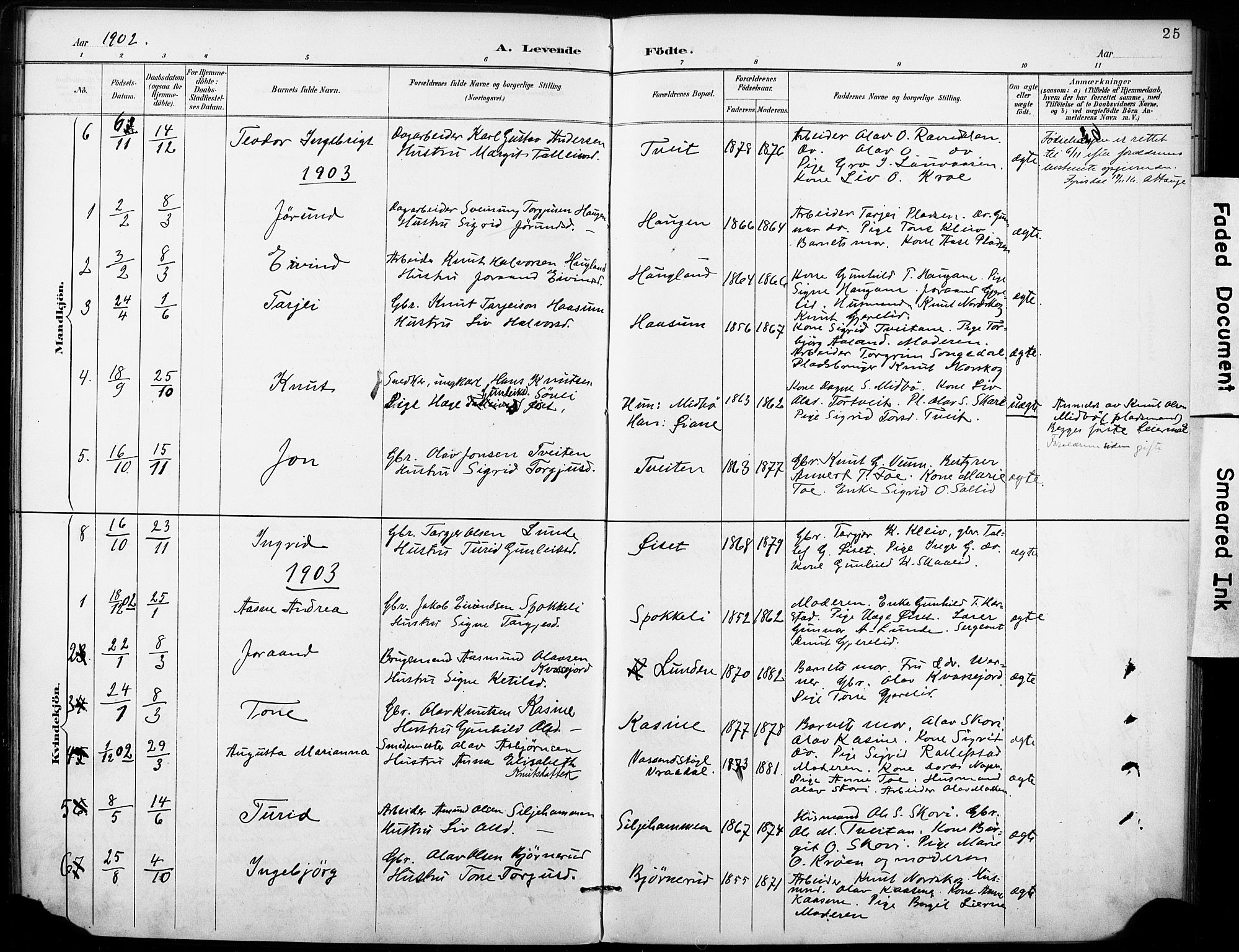 Fyresdal kirkebøker, SAKO/A-263/F/Fb/L0003: Parish register (official) no. II 3, 1887-1903, p. 25