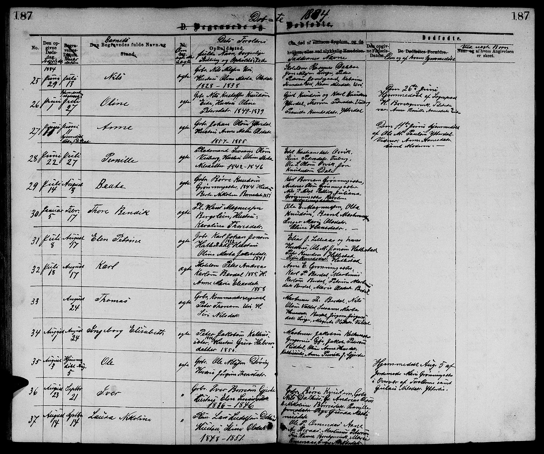 Ministerialprotokoller, klokkerbøker og fødselsregistre - Møre og Romsdal, AV/SAT-A-1454/519/L0262: Parish register (copy) no. 519C03, 1866-1884, p. 187