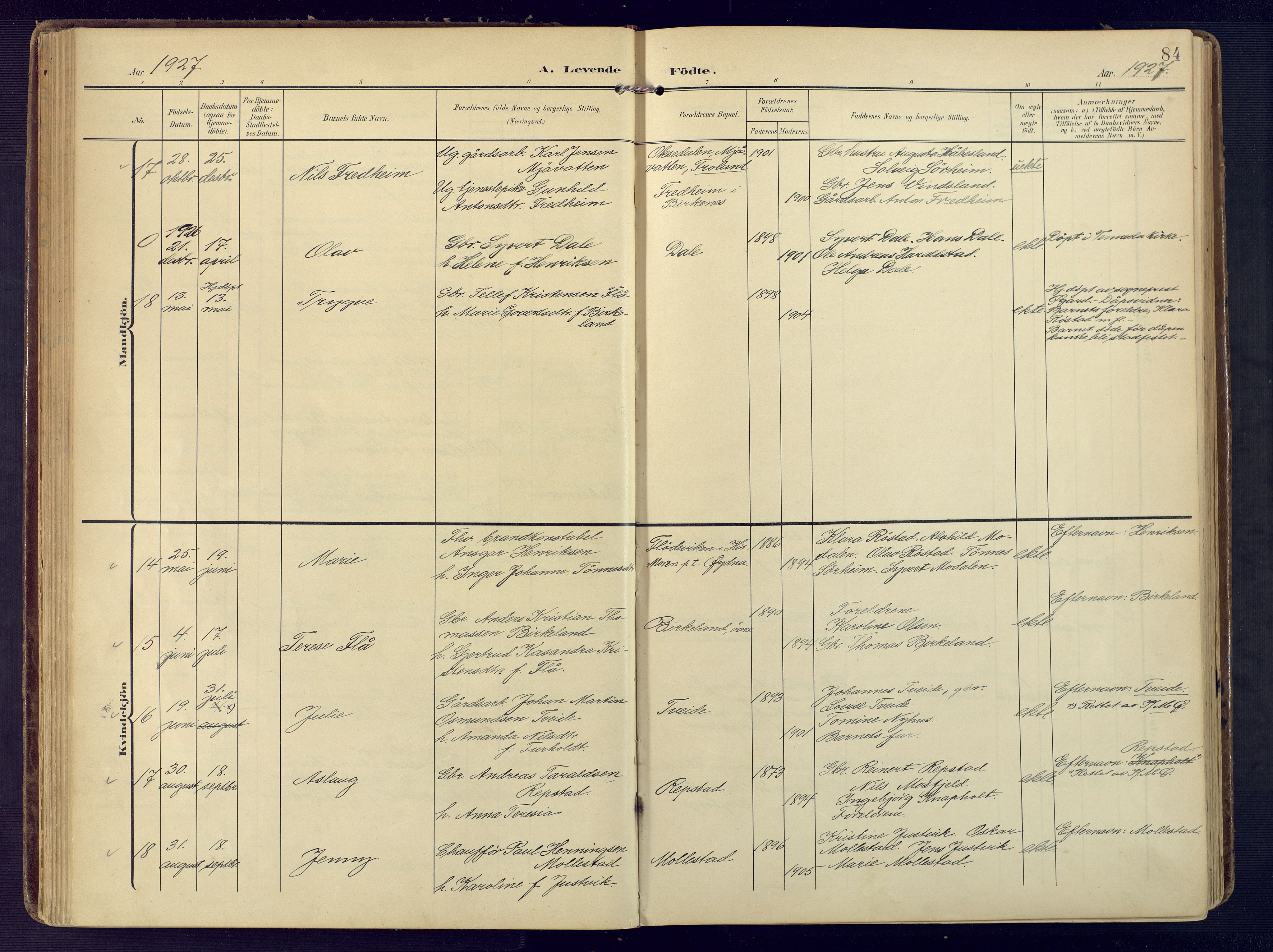 Birkenes sokneprestkontor, AV/SAK-1111-0004/F/Fa/L0006: Parish register (official) no. A 6, 1908-1932, p. 84