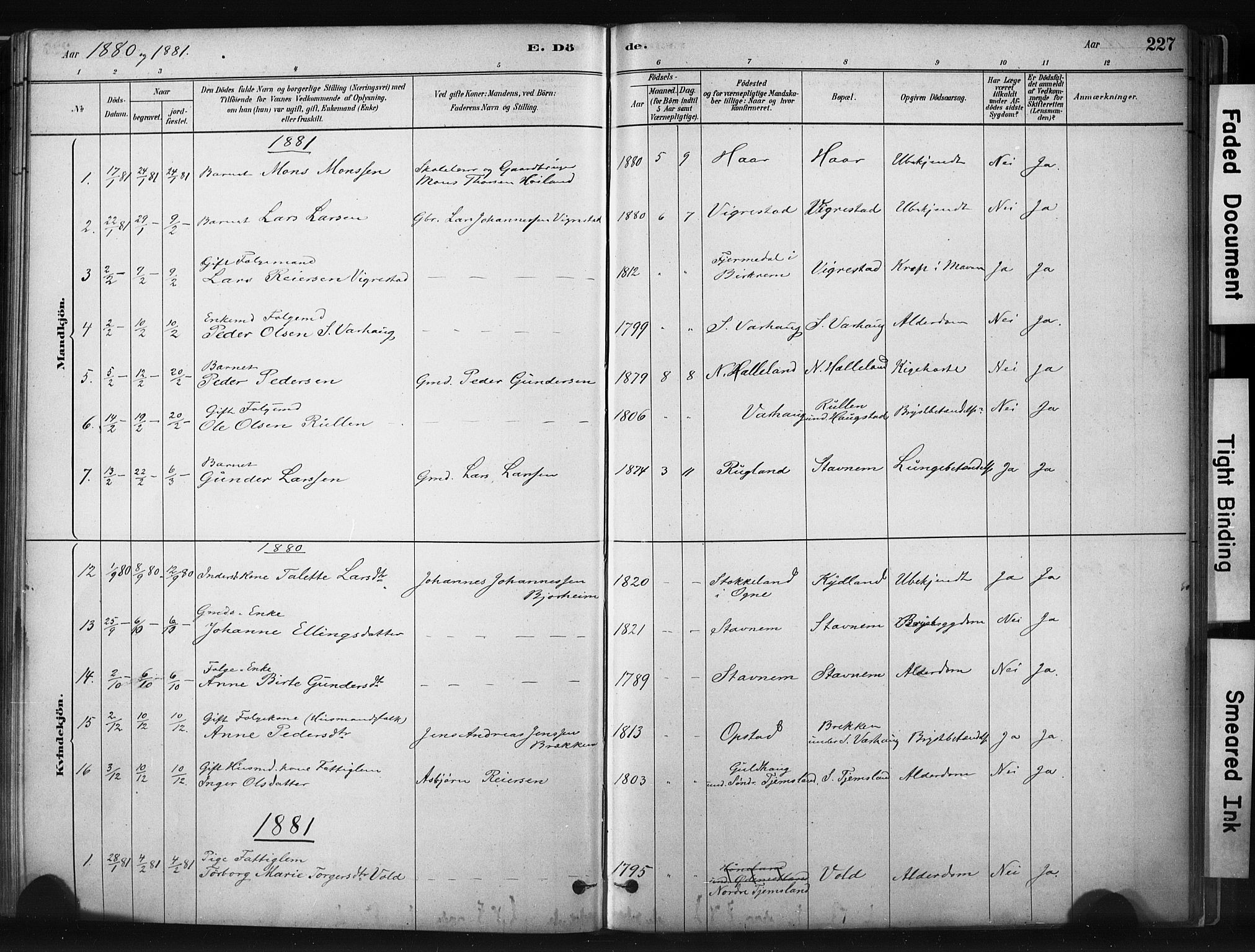 Hå sokneprestkontor, AV/SAST-A-101801/001/30BA/L0011: Parish register (official) no. A 10, 1879-1900, p. 227