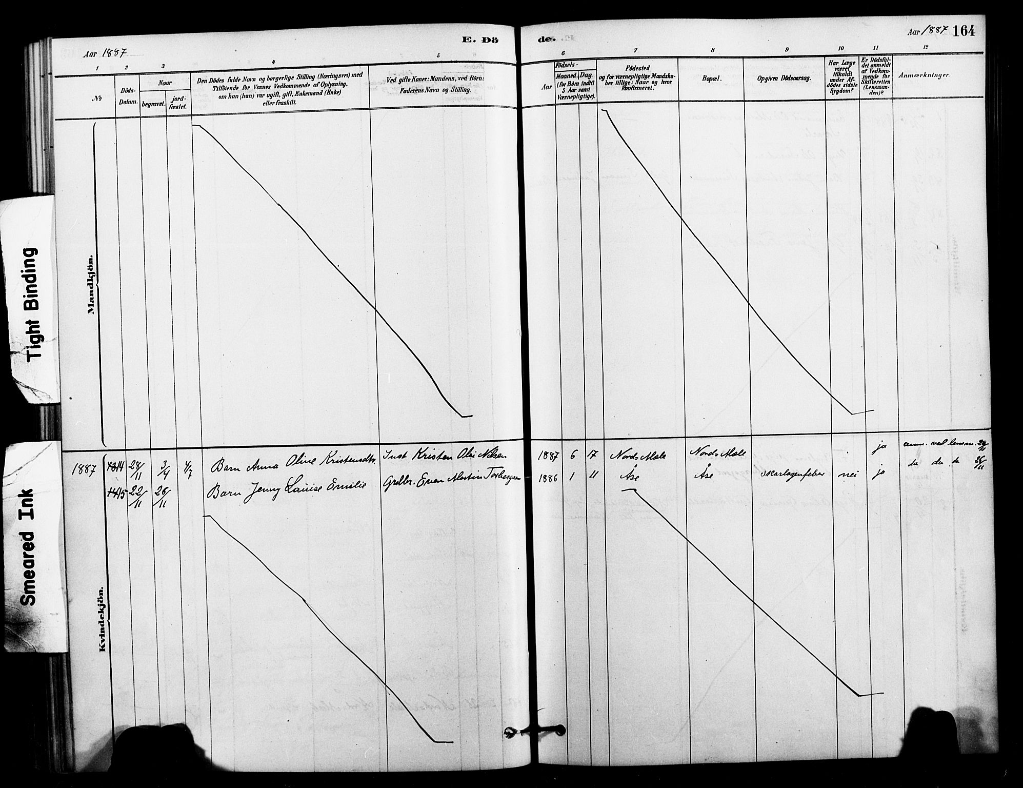 Ministerialprotokoller, klokkerbøker og fødselsregistre - Nordland, AV/SAT-A-1459/897/L1399: Parish register (official) no. 897C06, 1881-1896, p. 164