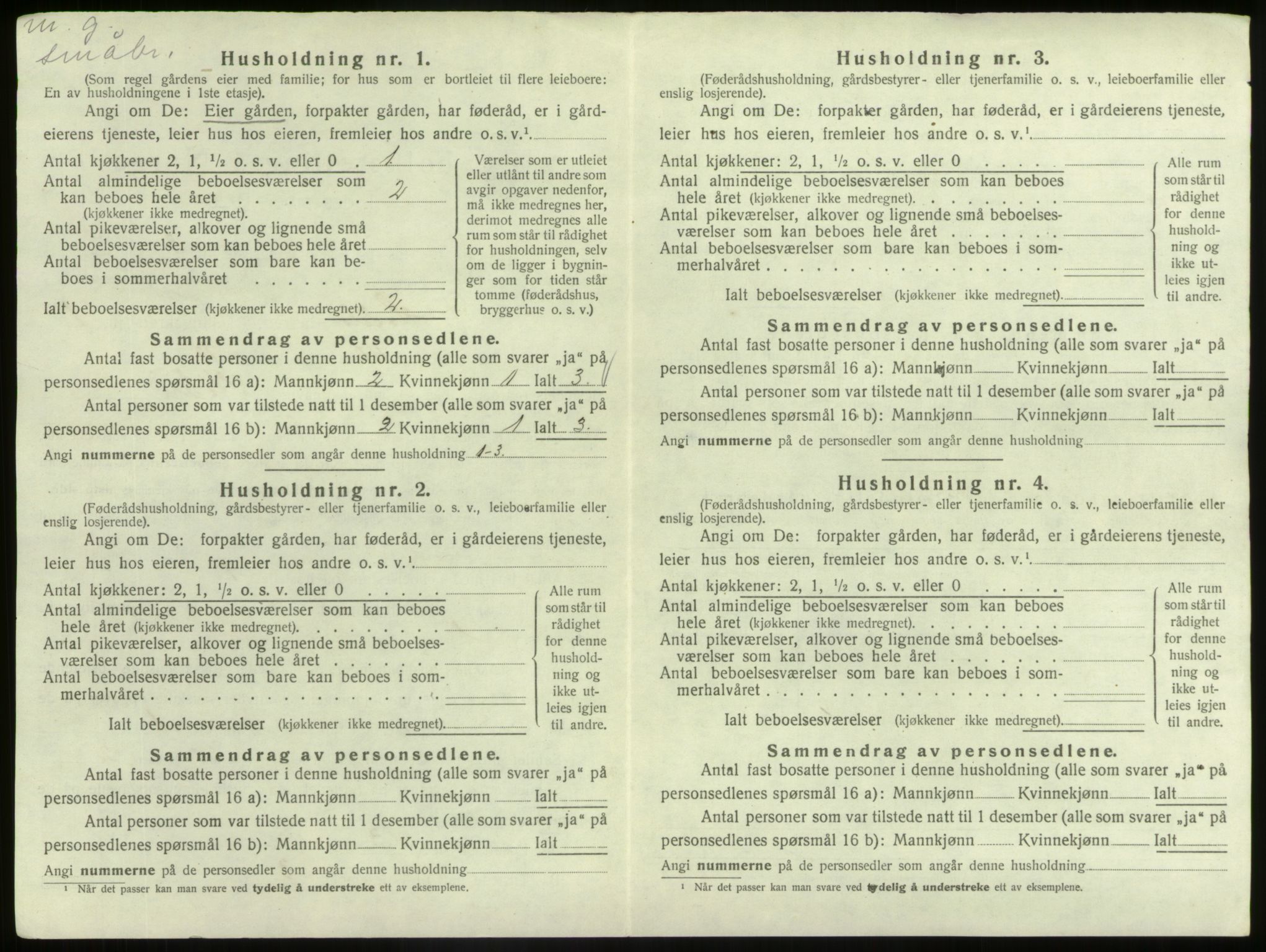 SAB, 1920 census for Hafslo, 1920, p. 41