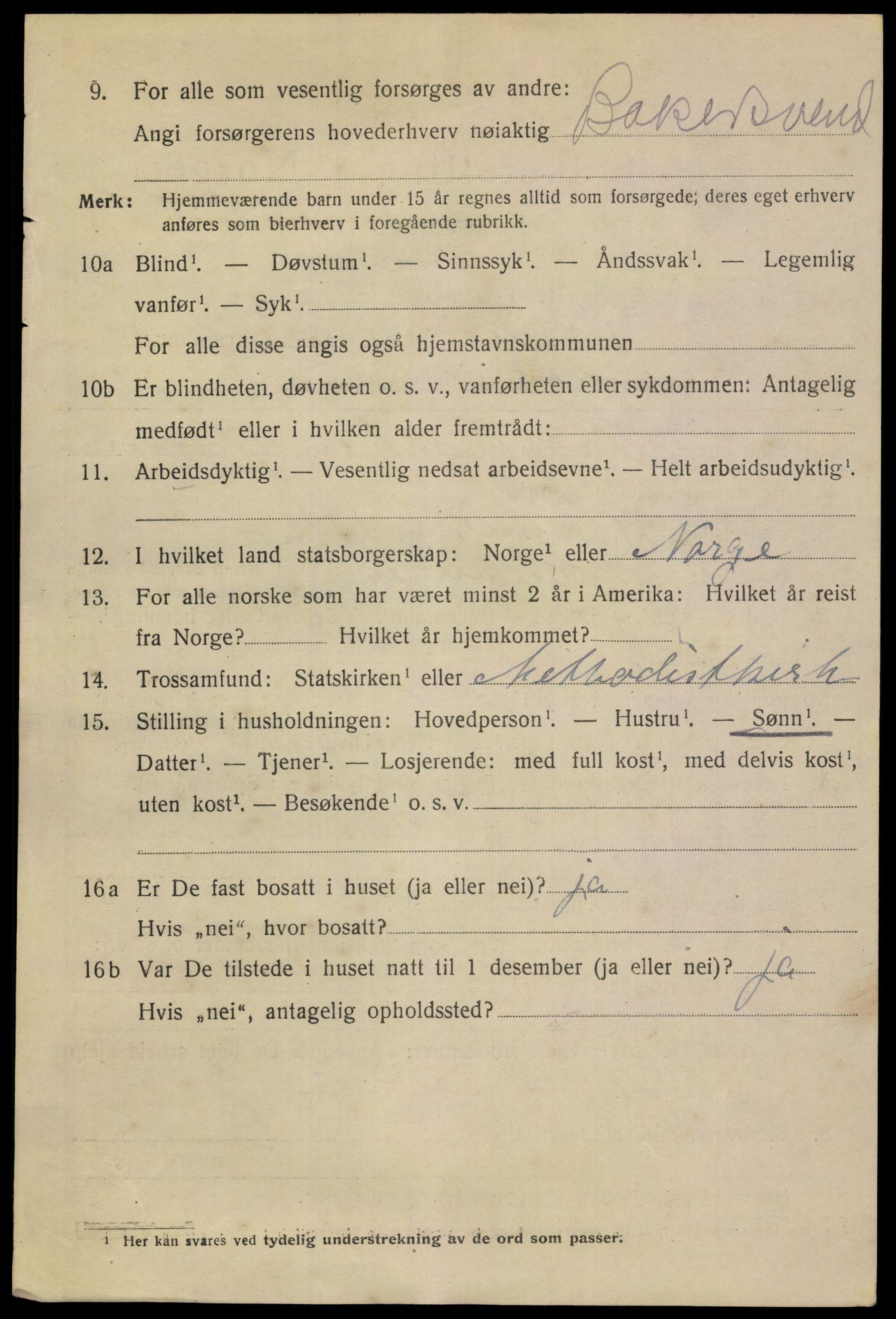 SAKO, 1920 census for Skien, 1920, p. 24793