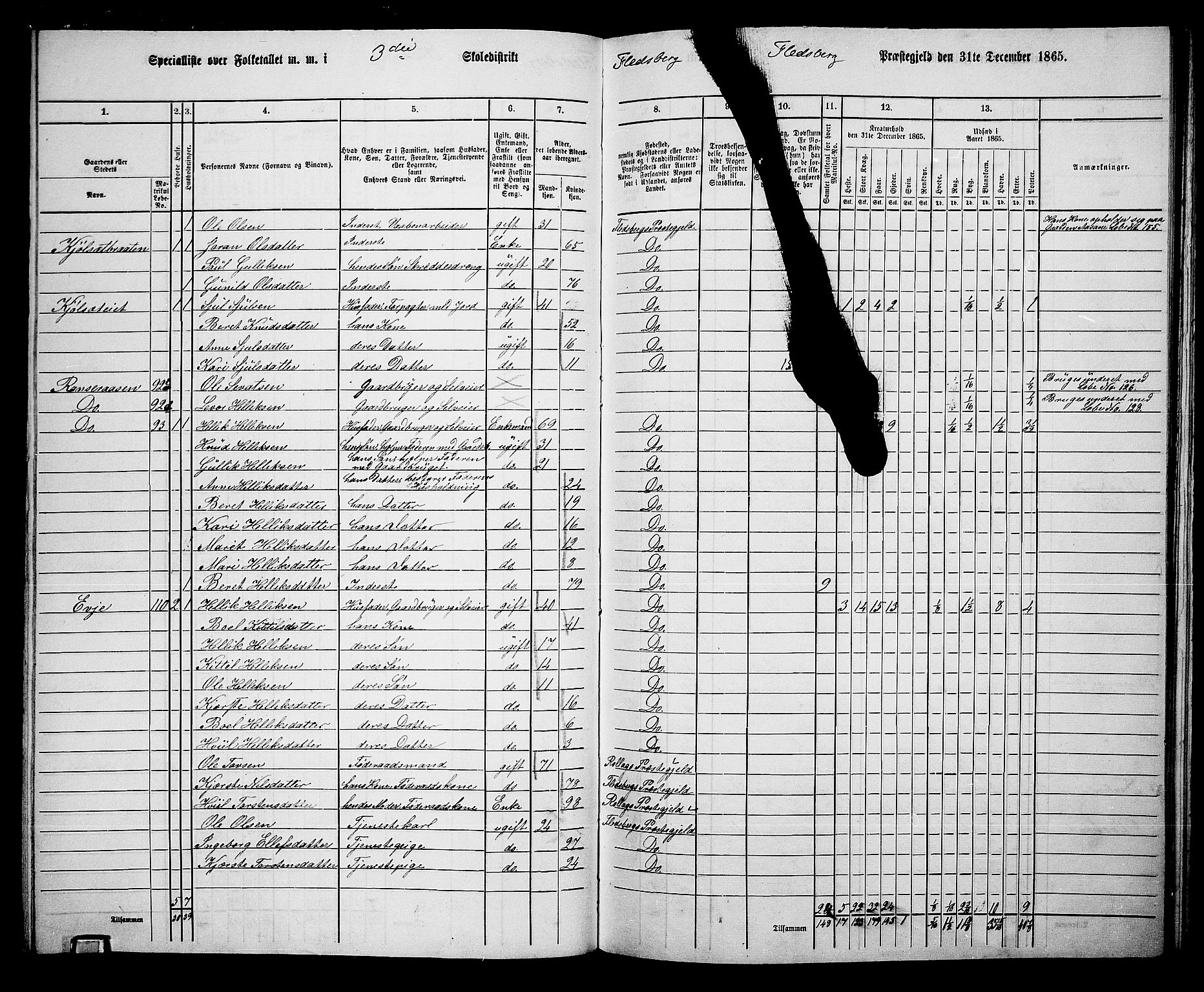 RA, 1865 census for Flesberg, 1865, p. 69