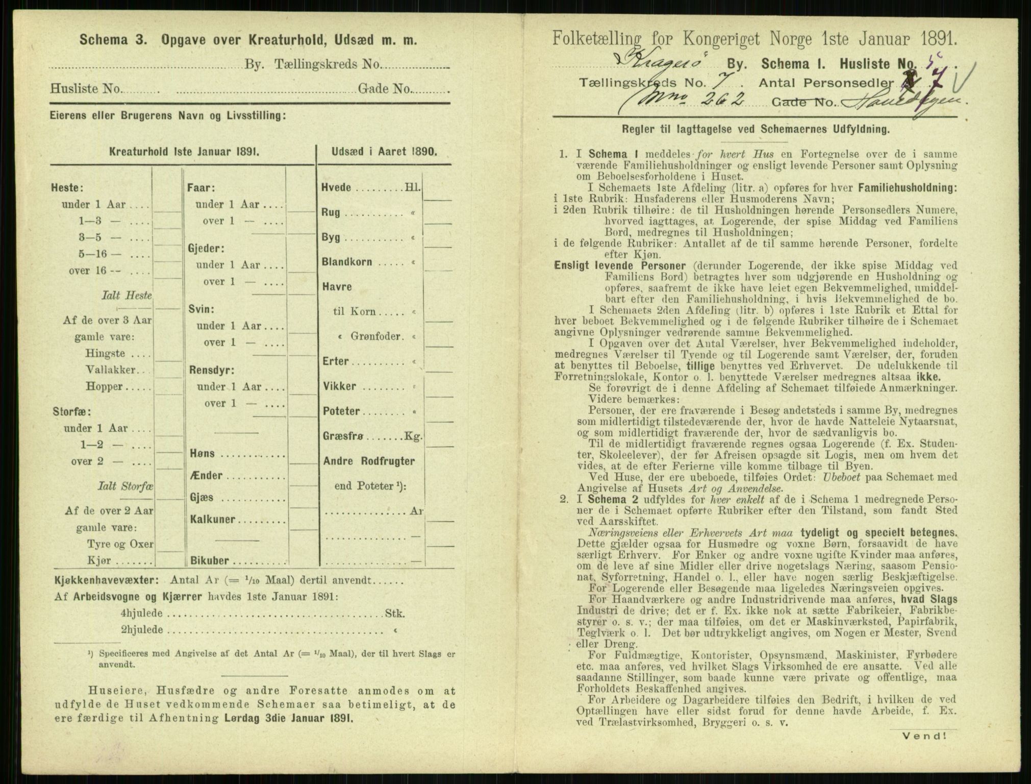 RA, 1891 census for 0801 Kragerø, 1891, p. 524