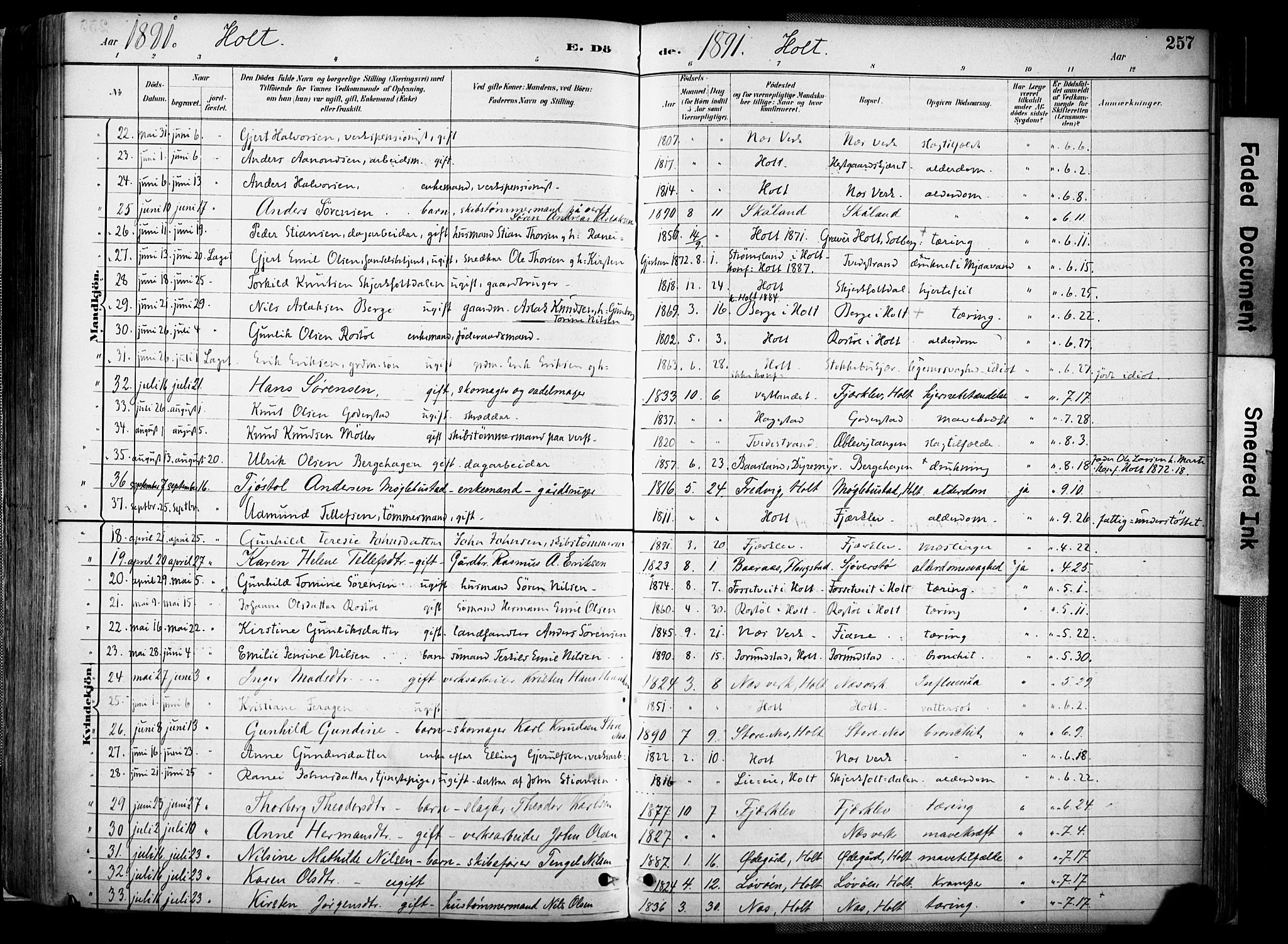 Holt sokneprestkontor, SAK/1111-0021/F/Fa/L0012: Parish register (official) no. A 12, 1885-1907, p. 257