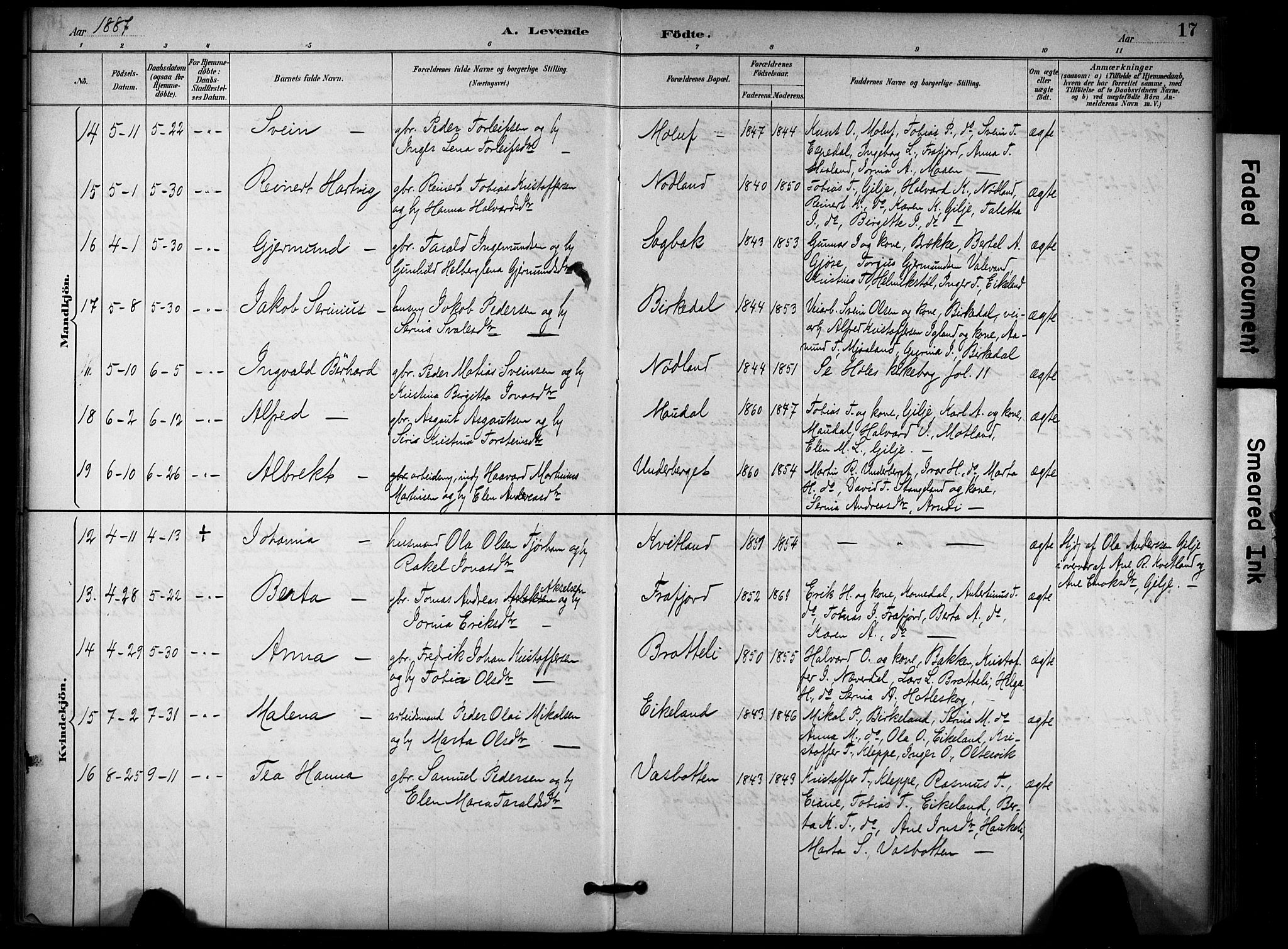Høgsfjord sokneprestkontor, AV/SAST-A-101624/H/Ha/Haa/L0006: Parish register (official) no. A 6, 1885-1897, p. 17
