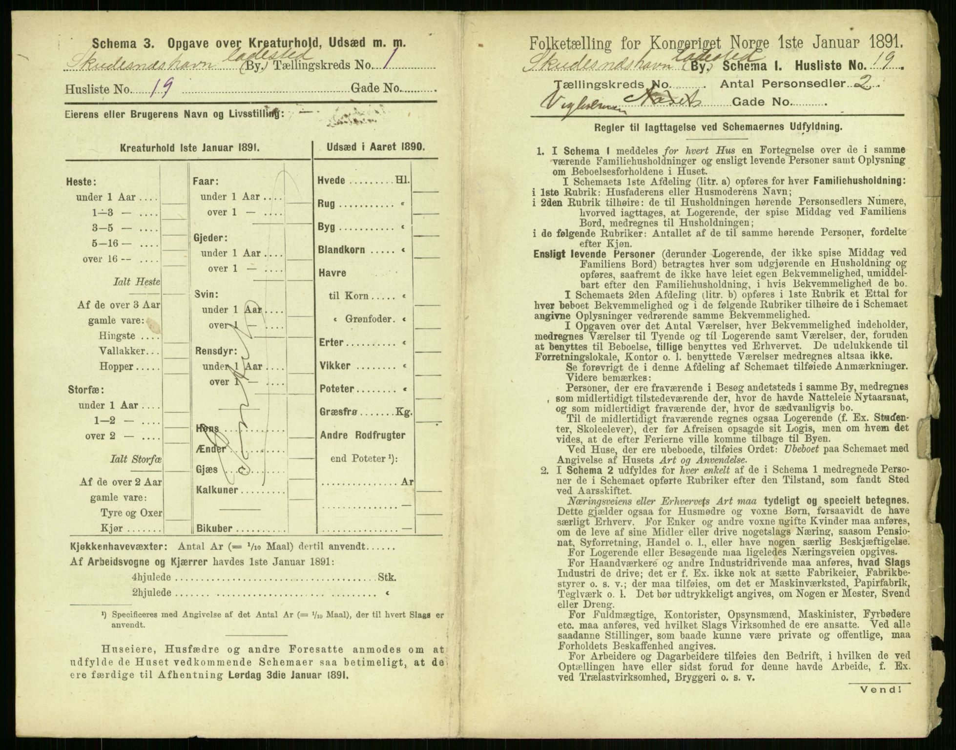 RA, 1891 census for 1104 Skudeneshavn, 1891, p. 52