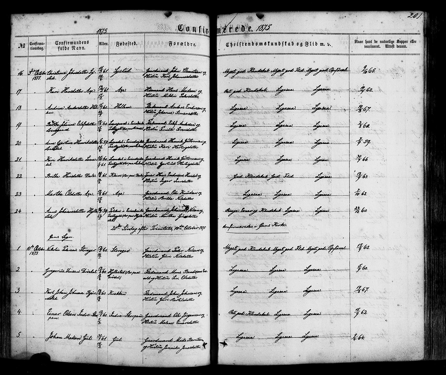 Hyllestad sokneprestembete, AV/SAB-A-80401: Parish register (official) no. A 1, 1861-1886, p. 201