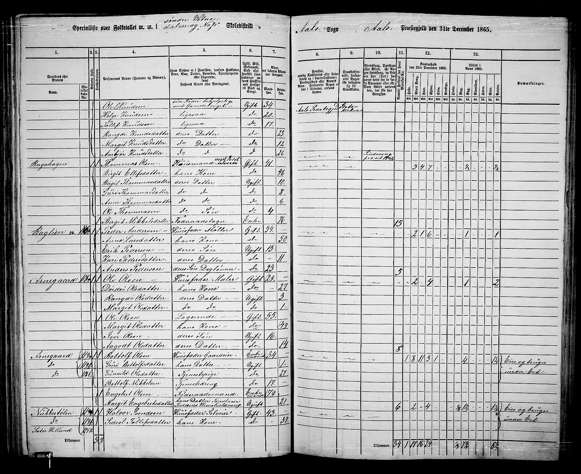 RA, 1865 census for Ål, 1865, p. 76