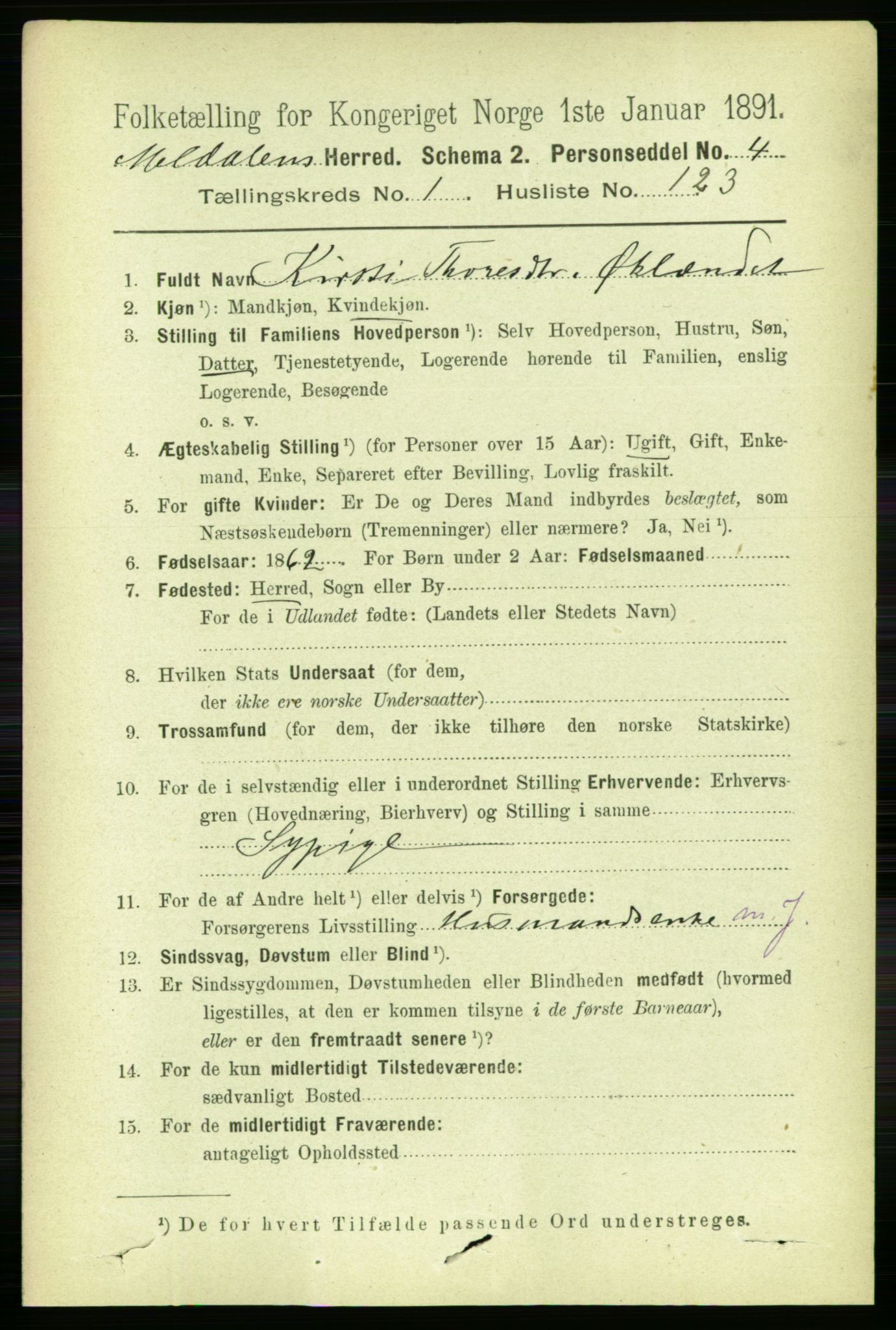 RA, 1891 census for 1636 Meldal, 1891, p. 943