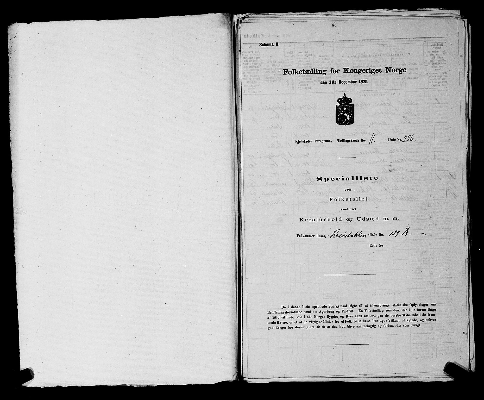 SAKO, 1875 census for 0805P Porsgrunn, 1875, p. 522