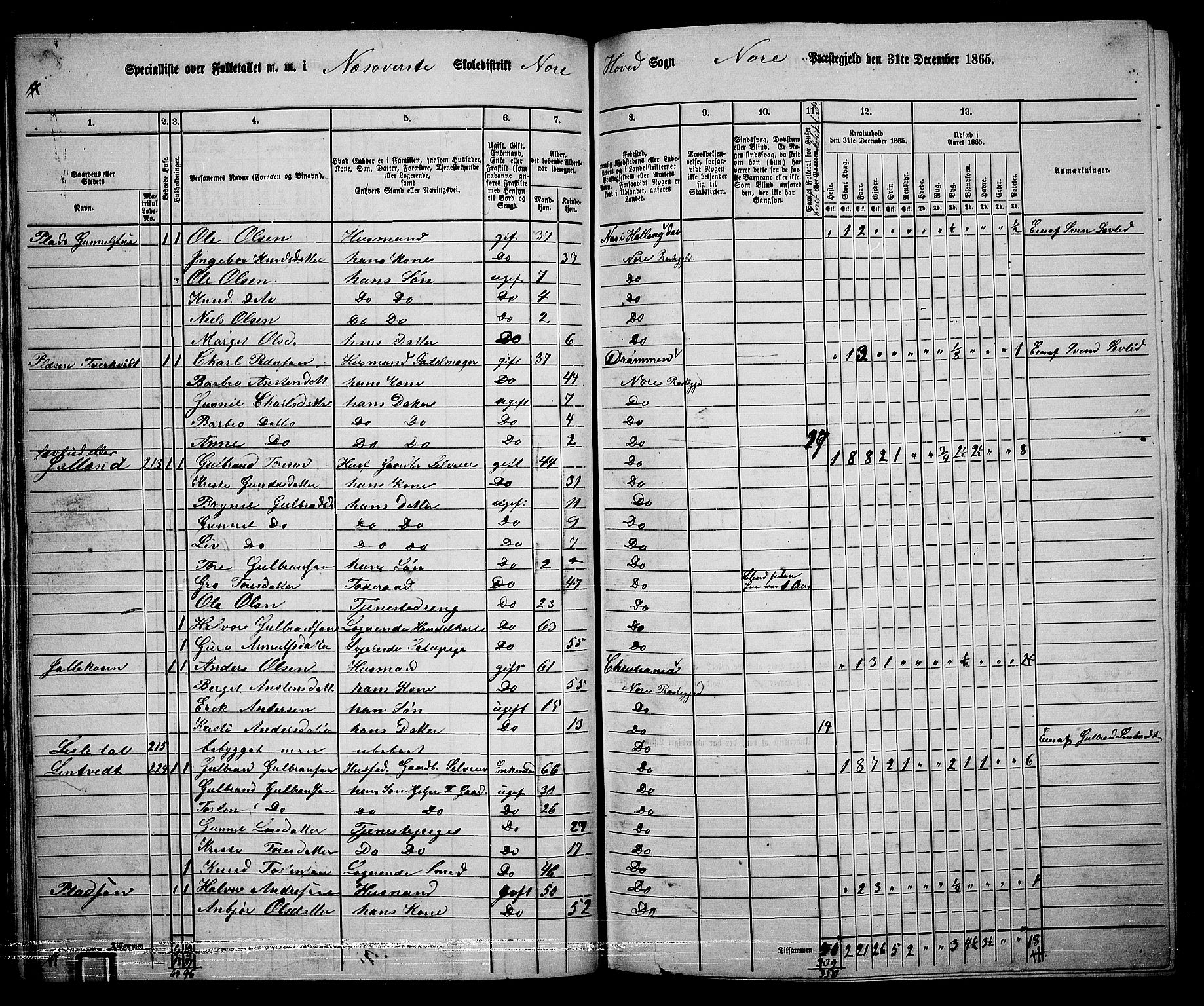 RA, 1865 census for Nore, 1865, p. 61