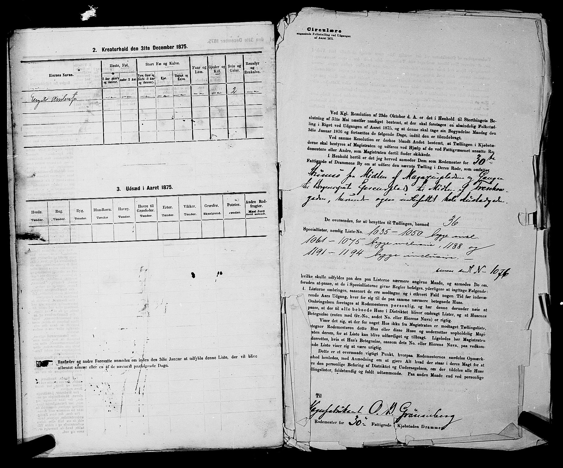 SAKO, 1875 census for 0602 Drammen, 1875, p. 2659