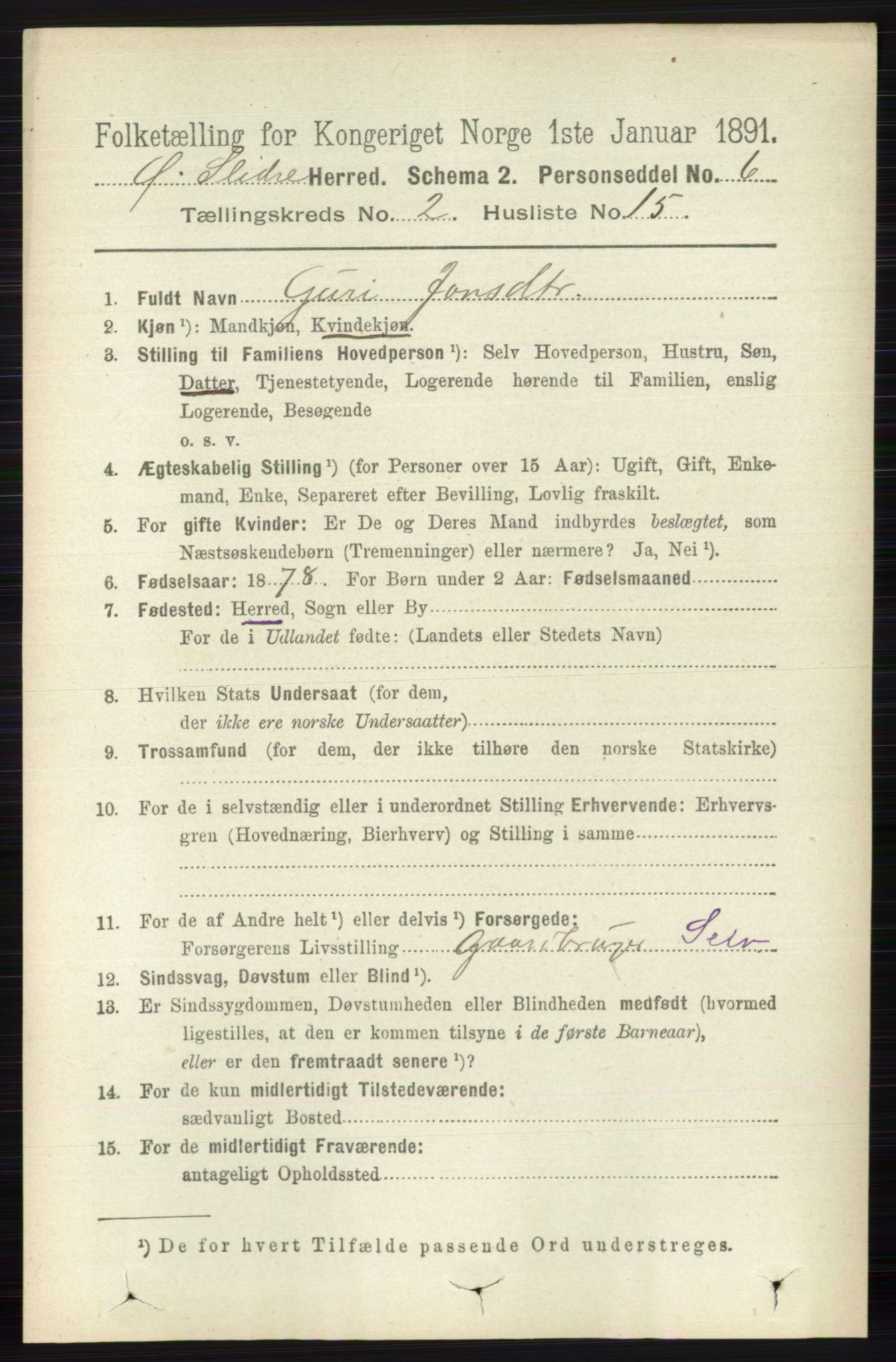 RA, 1891 census for 0544 Øystre Slidre, 1891, p. 356