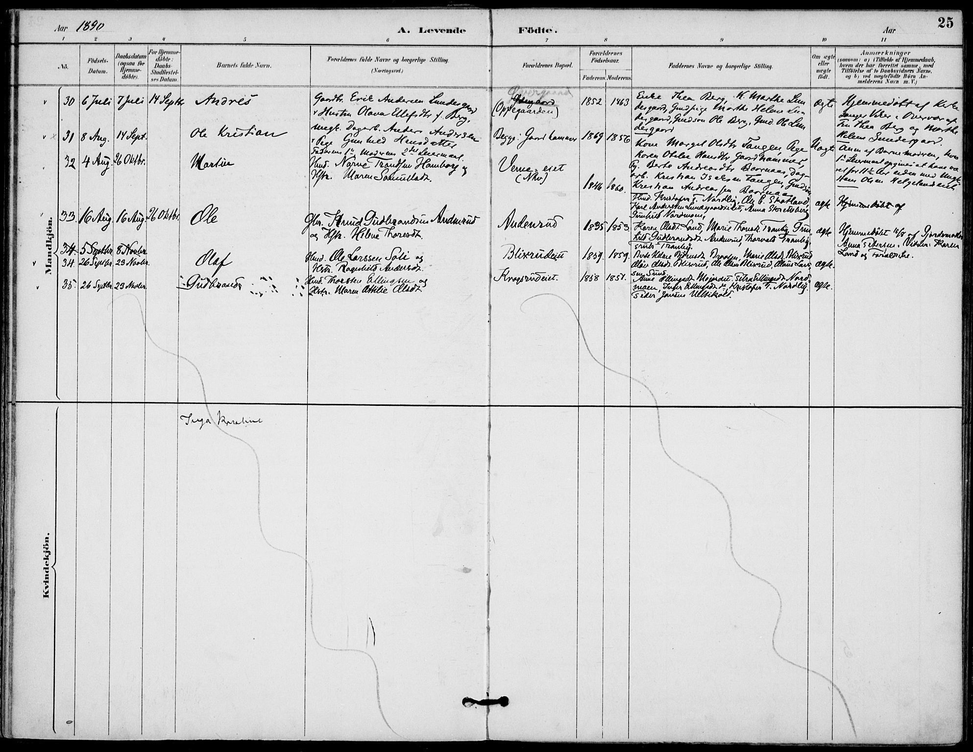 Lunder kirkebøker, AV/SAKO-A-629/F/Fa/L0001: Parish register (official) no. I 1, 1885-1912, p. 25